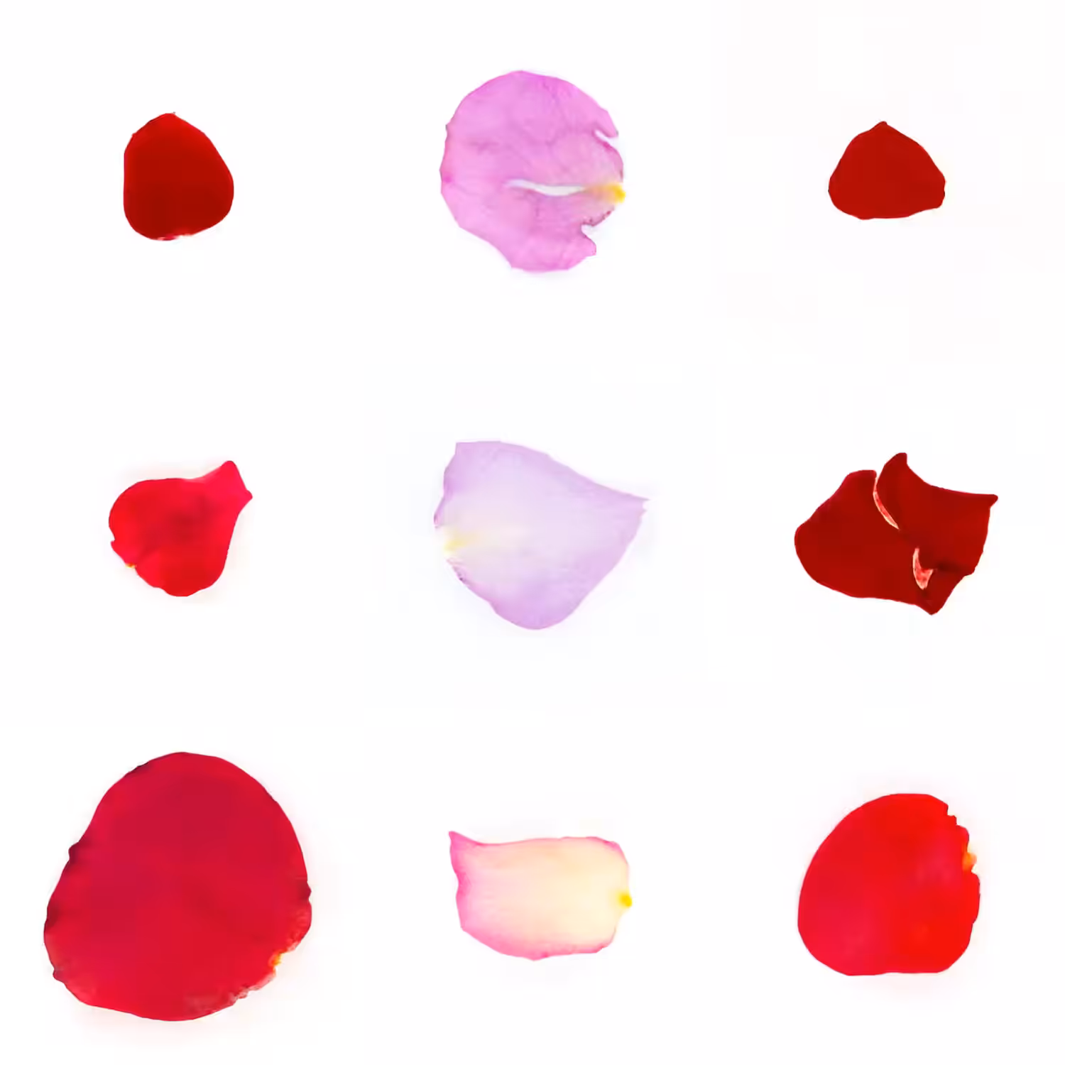 Infinite Petals 3x3#20279