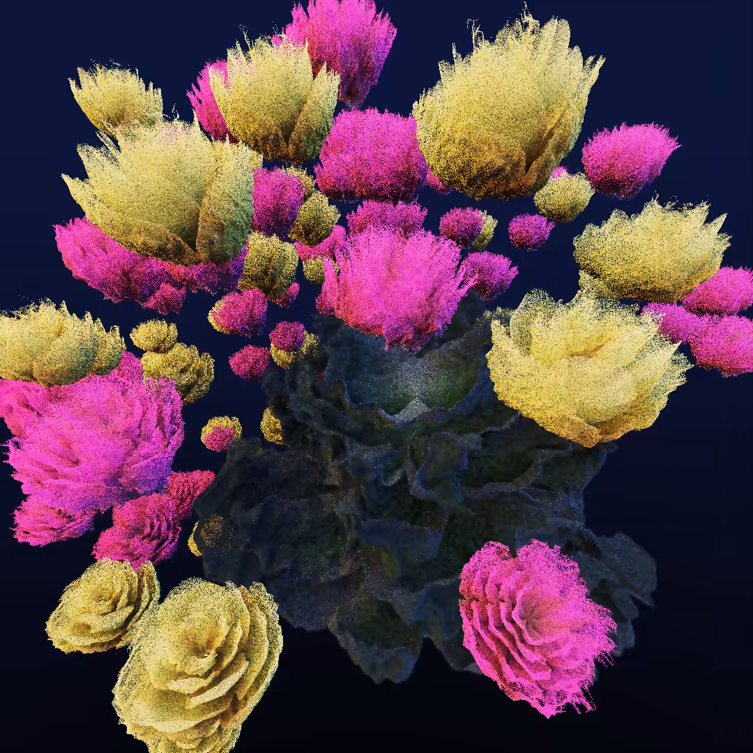 rosarium #123