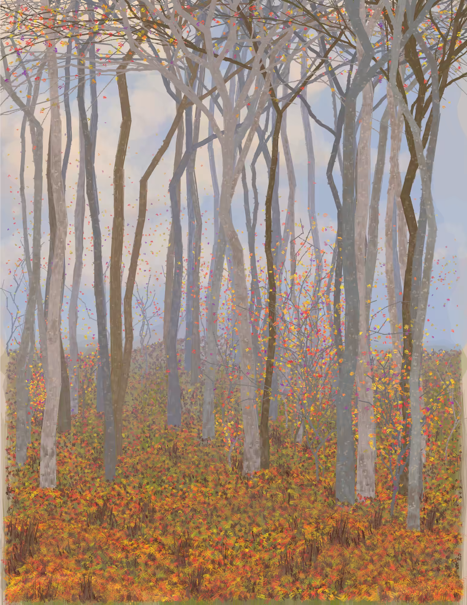 Deep Forest #348