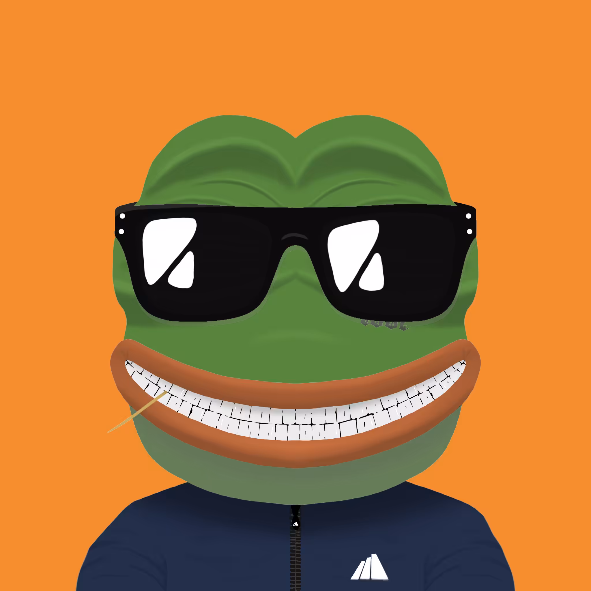 FROJI2D #30