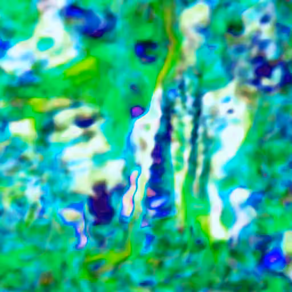 The natural landscape. The political concept of contact and unrecognizable for the medium with other moments