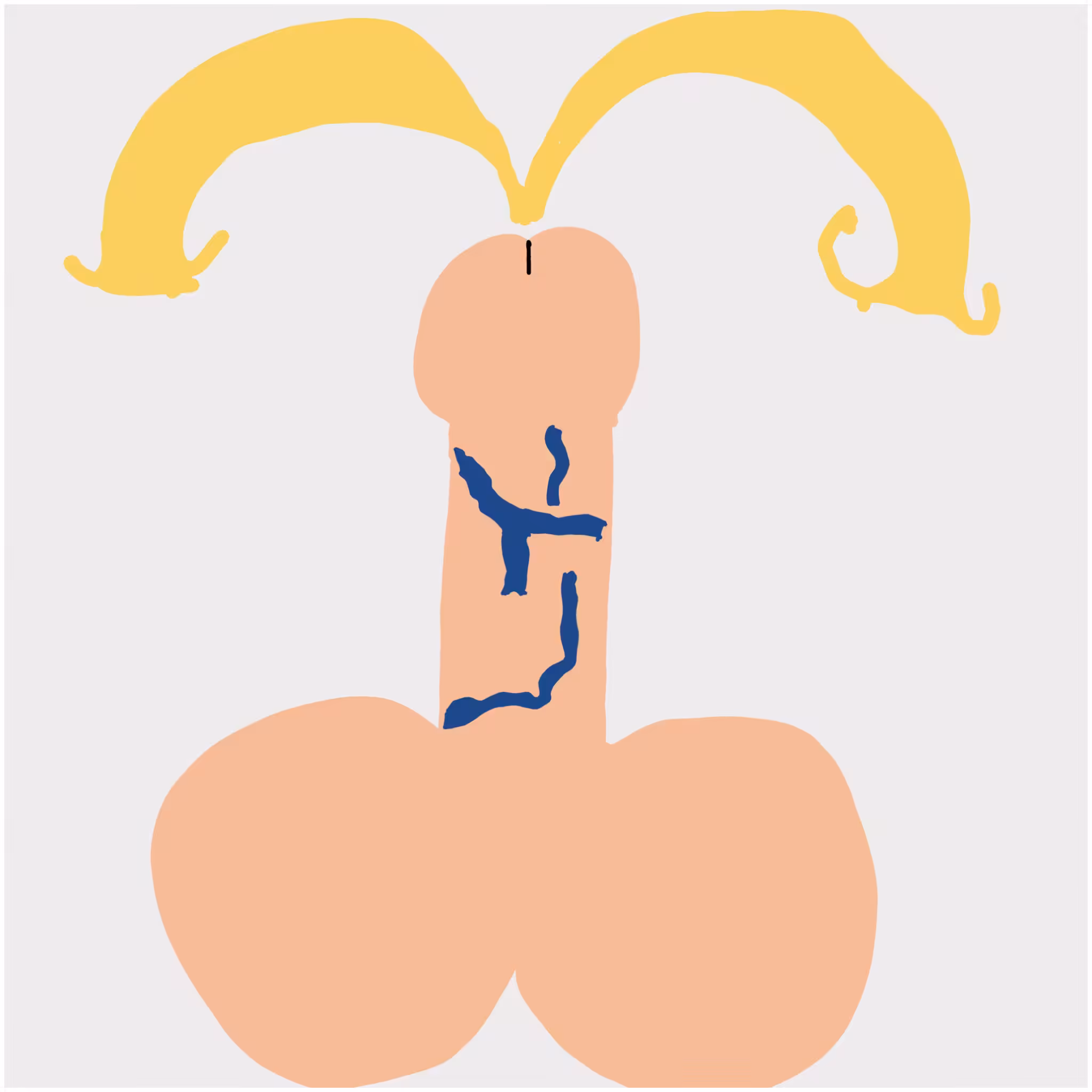 Dickgenerative Art #37