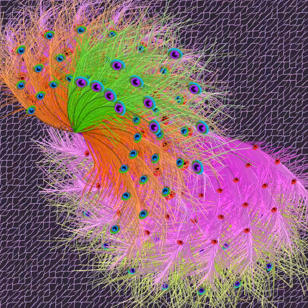Oriental Peafowl Impression #11