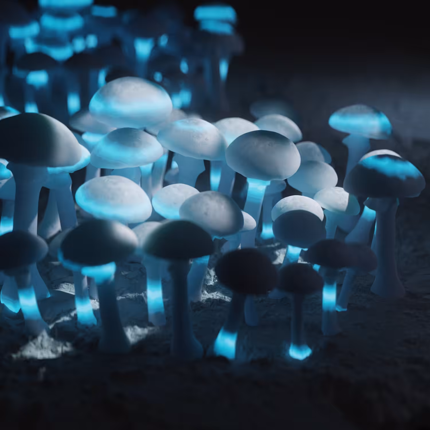 moon shrooms