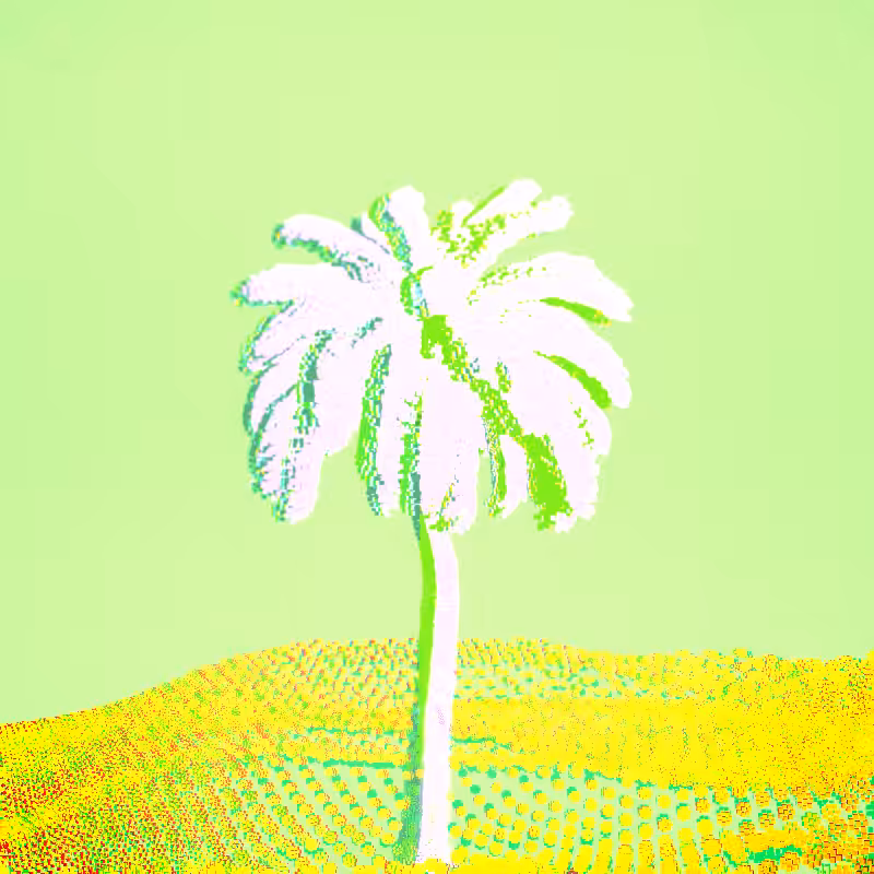 🌴0asis🌴 #84