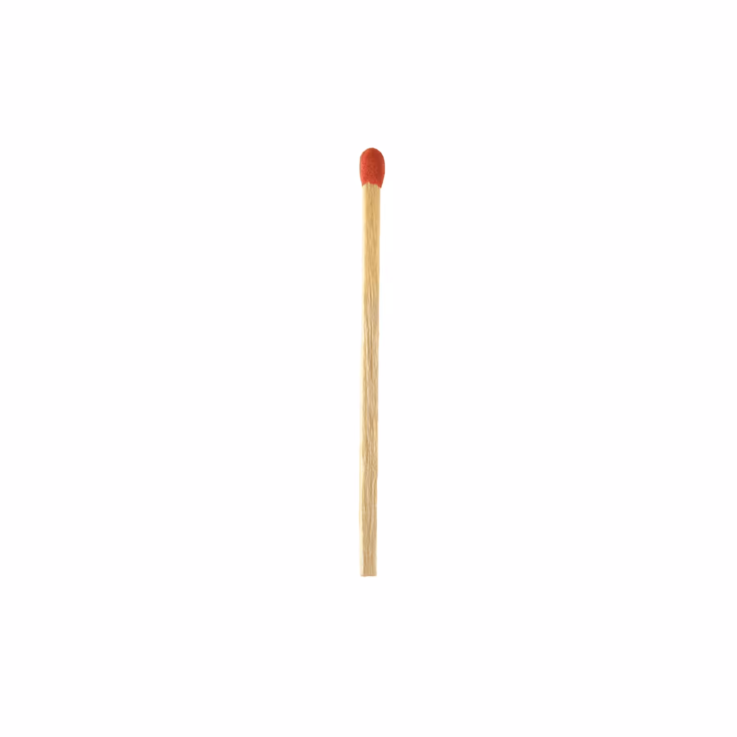 100 Everyday Items: Match Stick