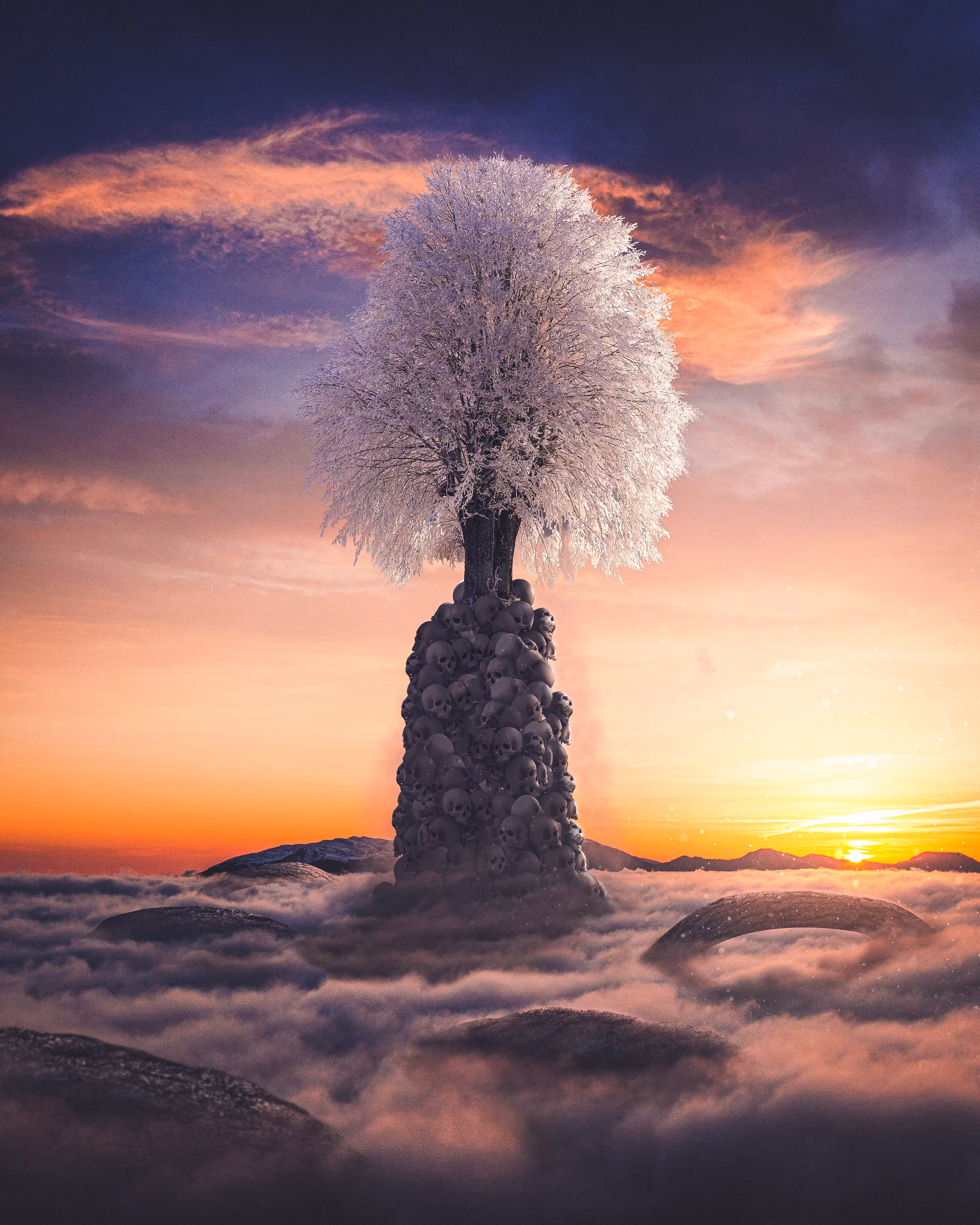 The Clouds