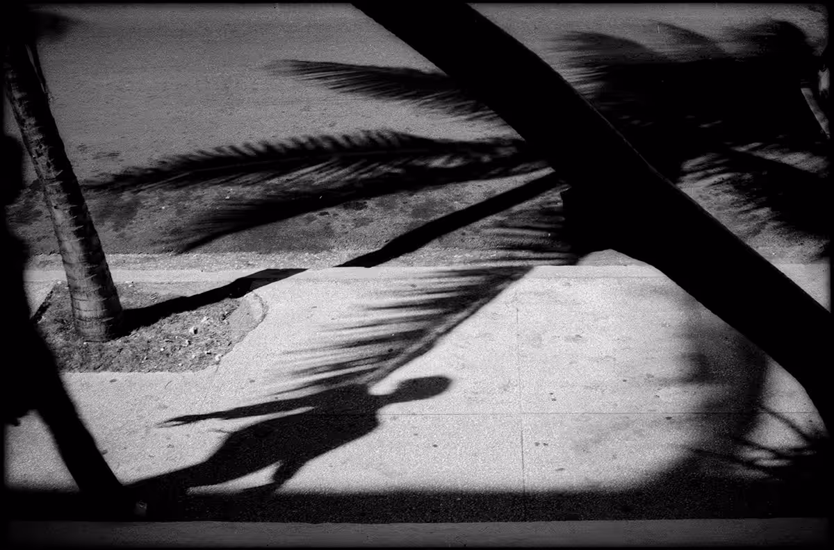 WALKER HAVANA #2