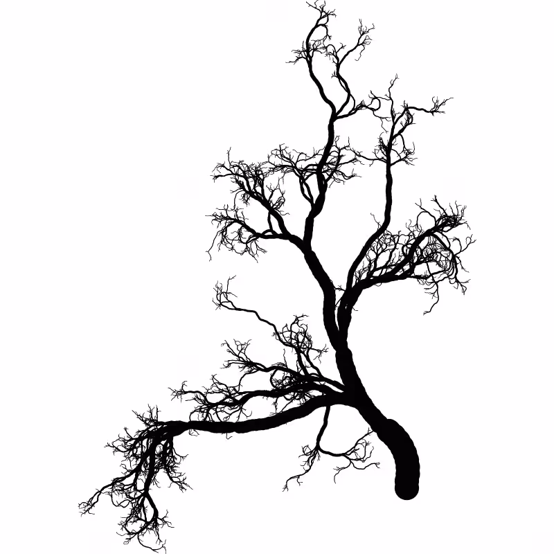 Tree 01 #82