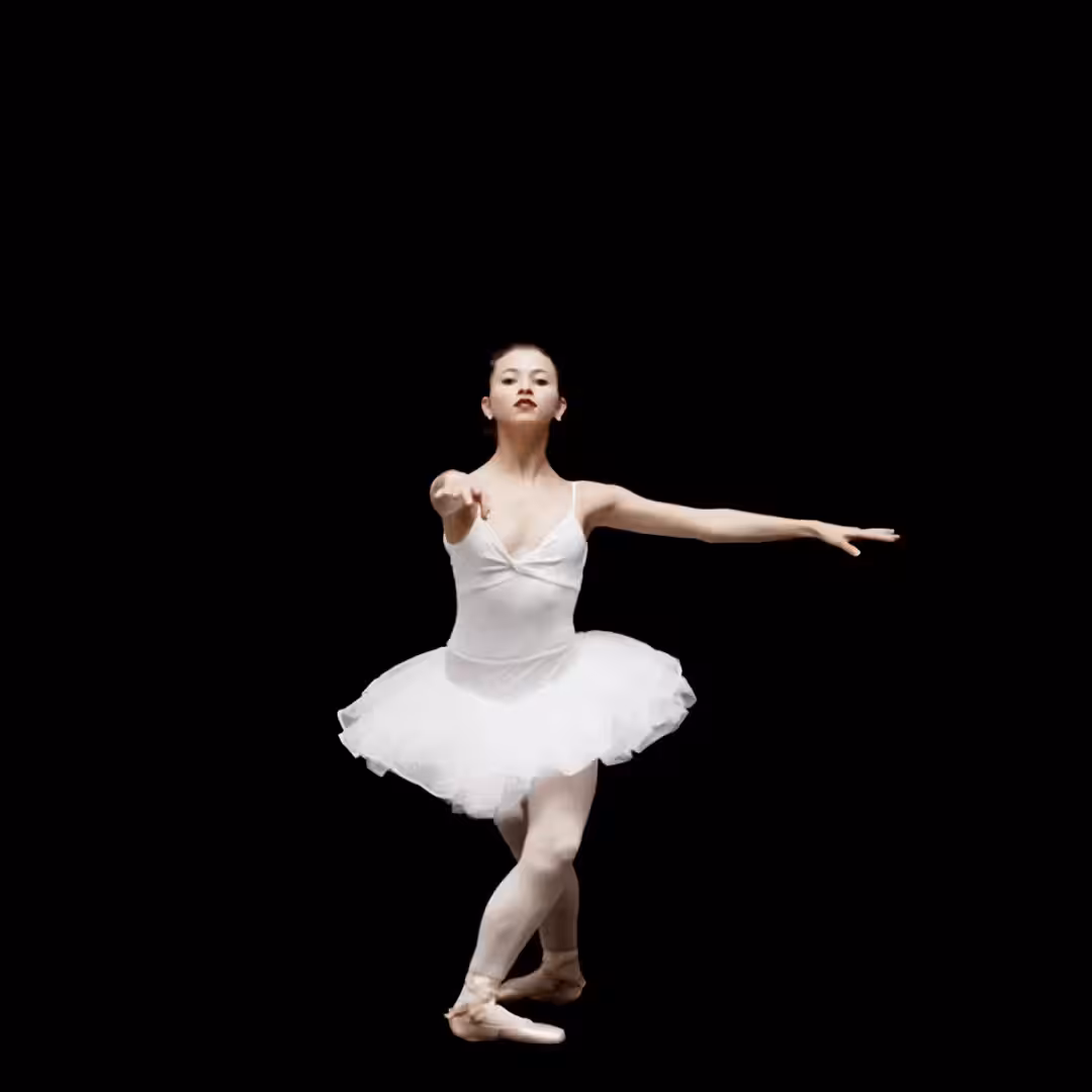 Ballet of Life