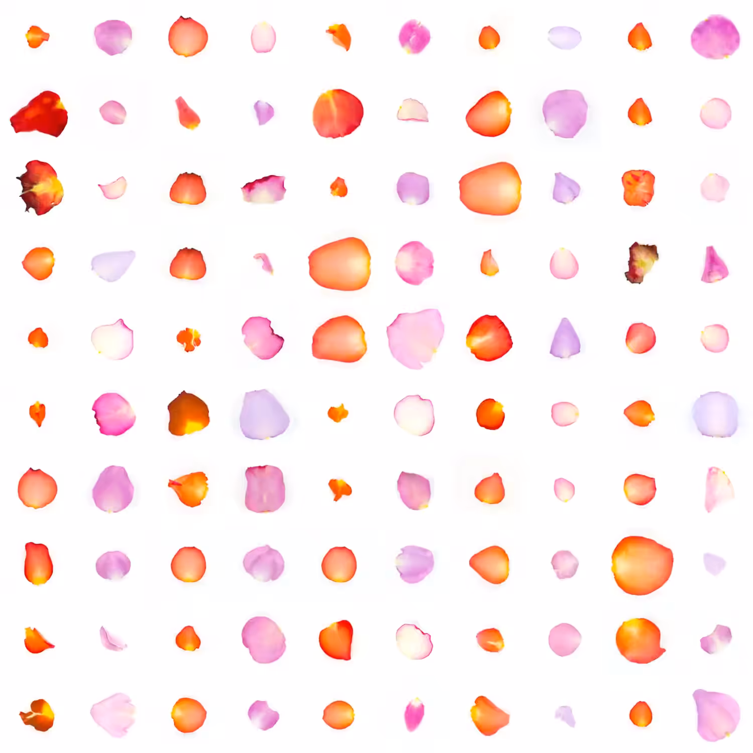 Infinite Petals 10x10#1485