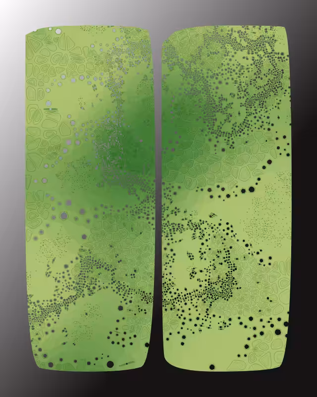 Perforations #26