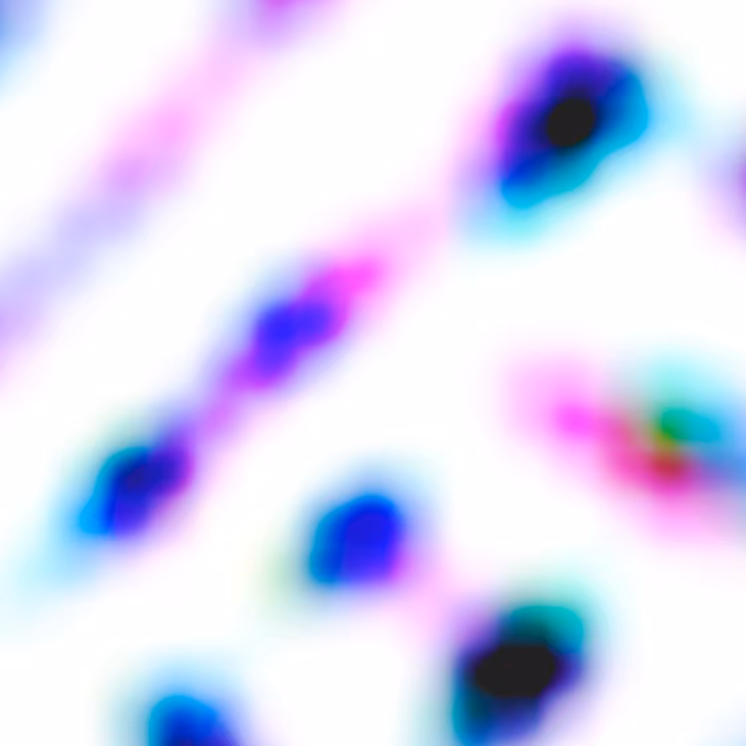 IFICE 17 - 246