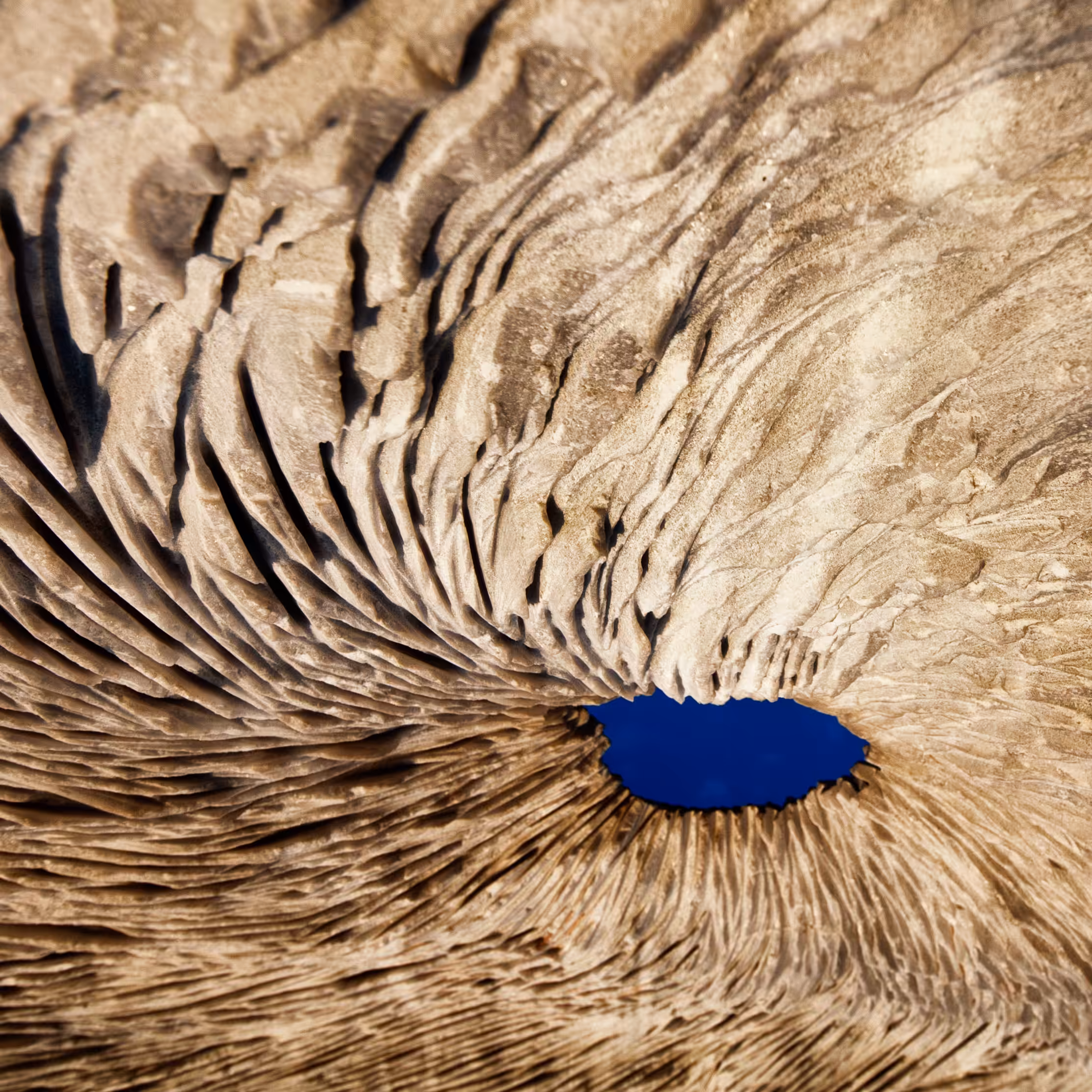 Rodeo posts: The Hole