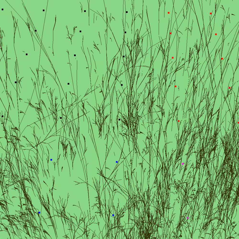 Infinite Garden: 4578 Flowers