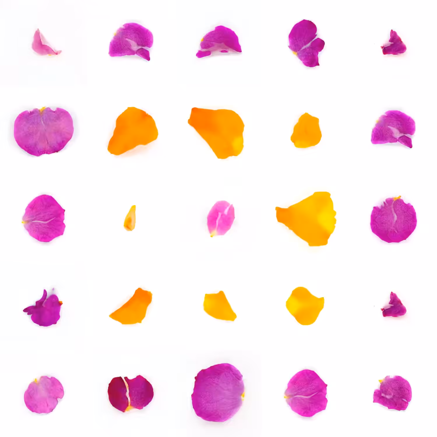 Infinite Petals 5x5#23279