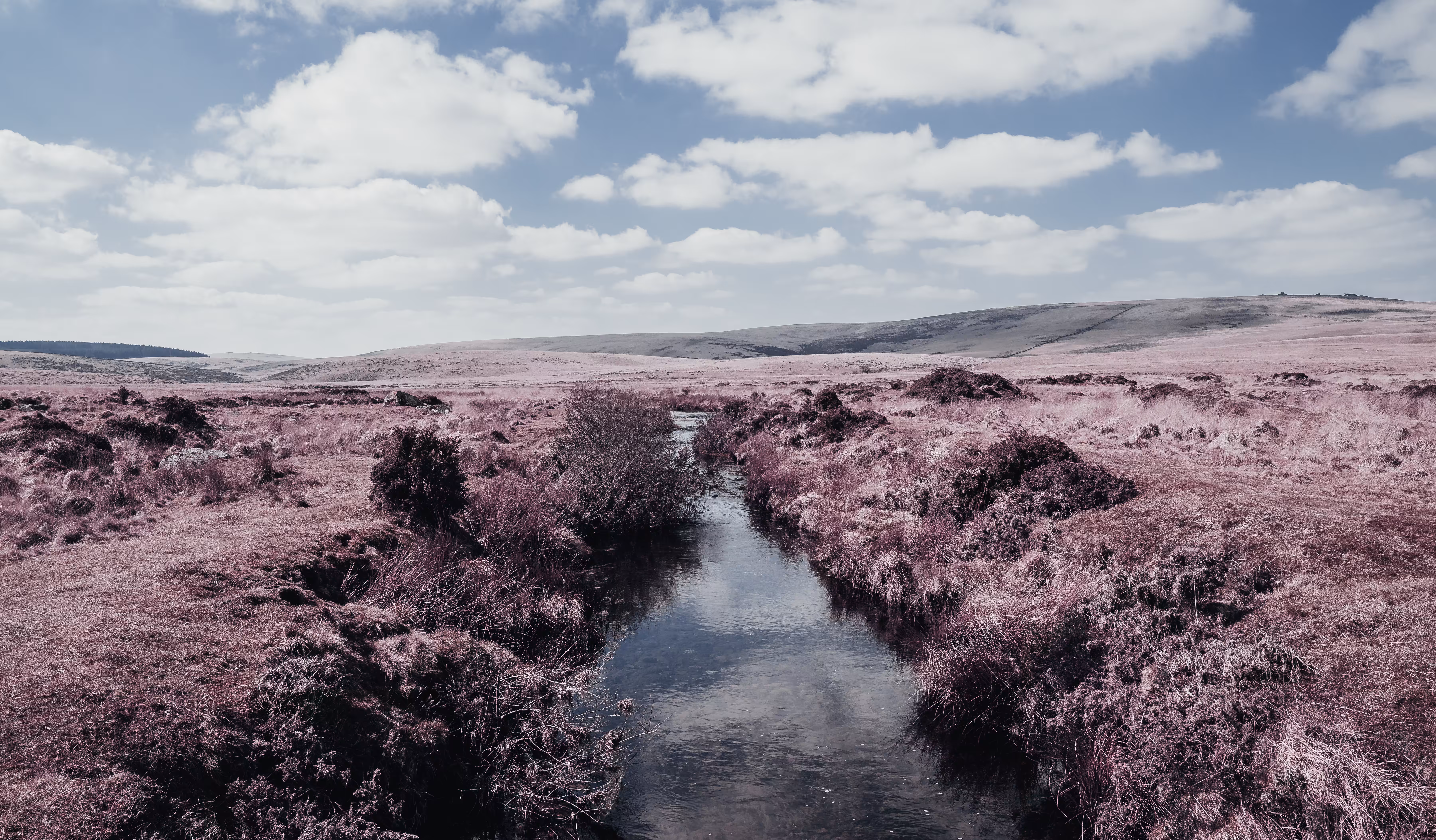 Another world 