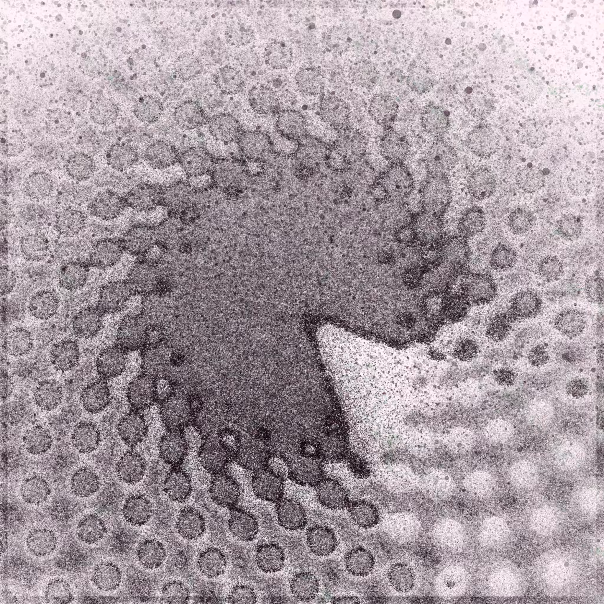 Matter/Antimatter