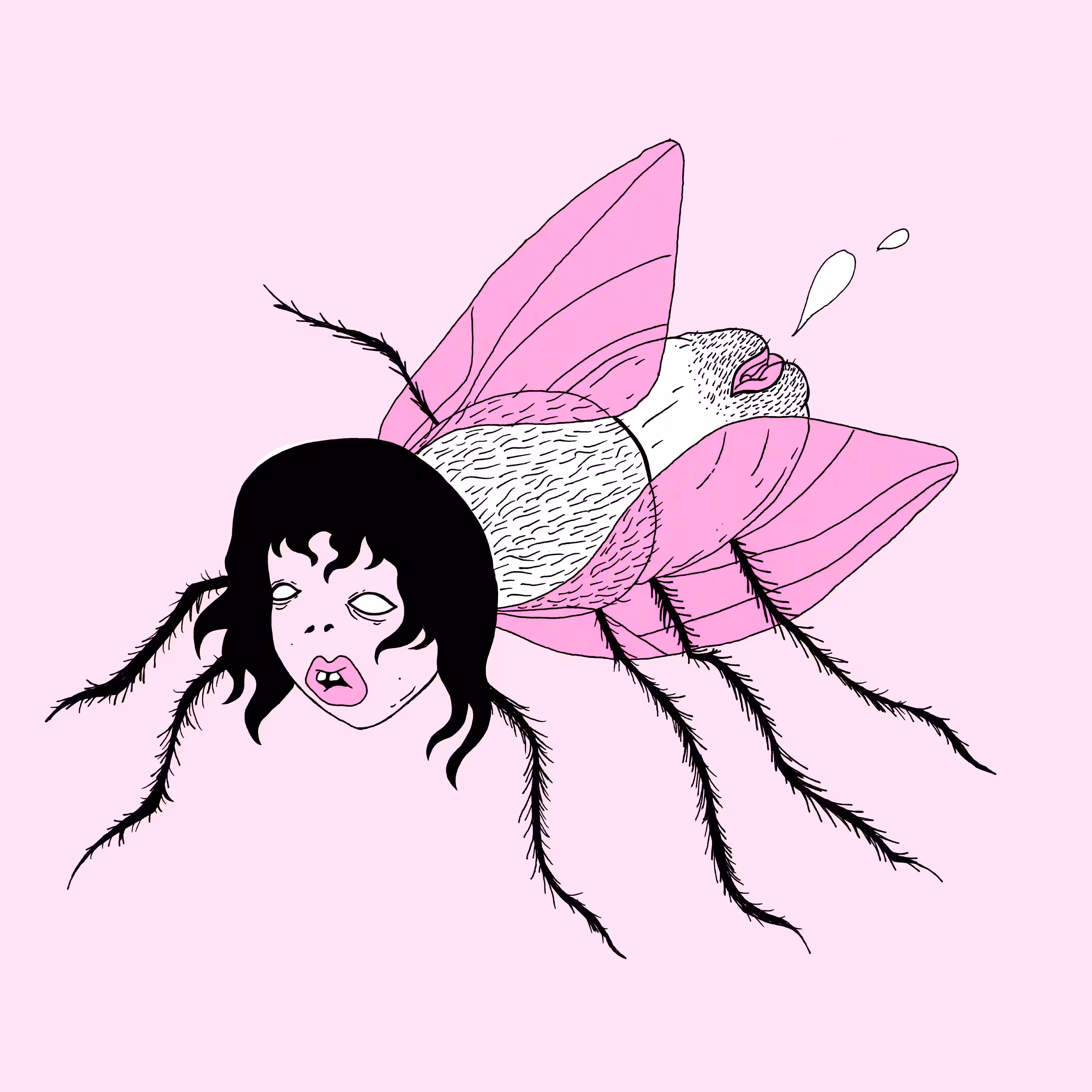 Pesty Fly