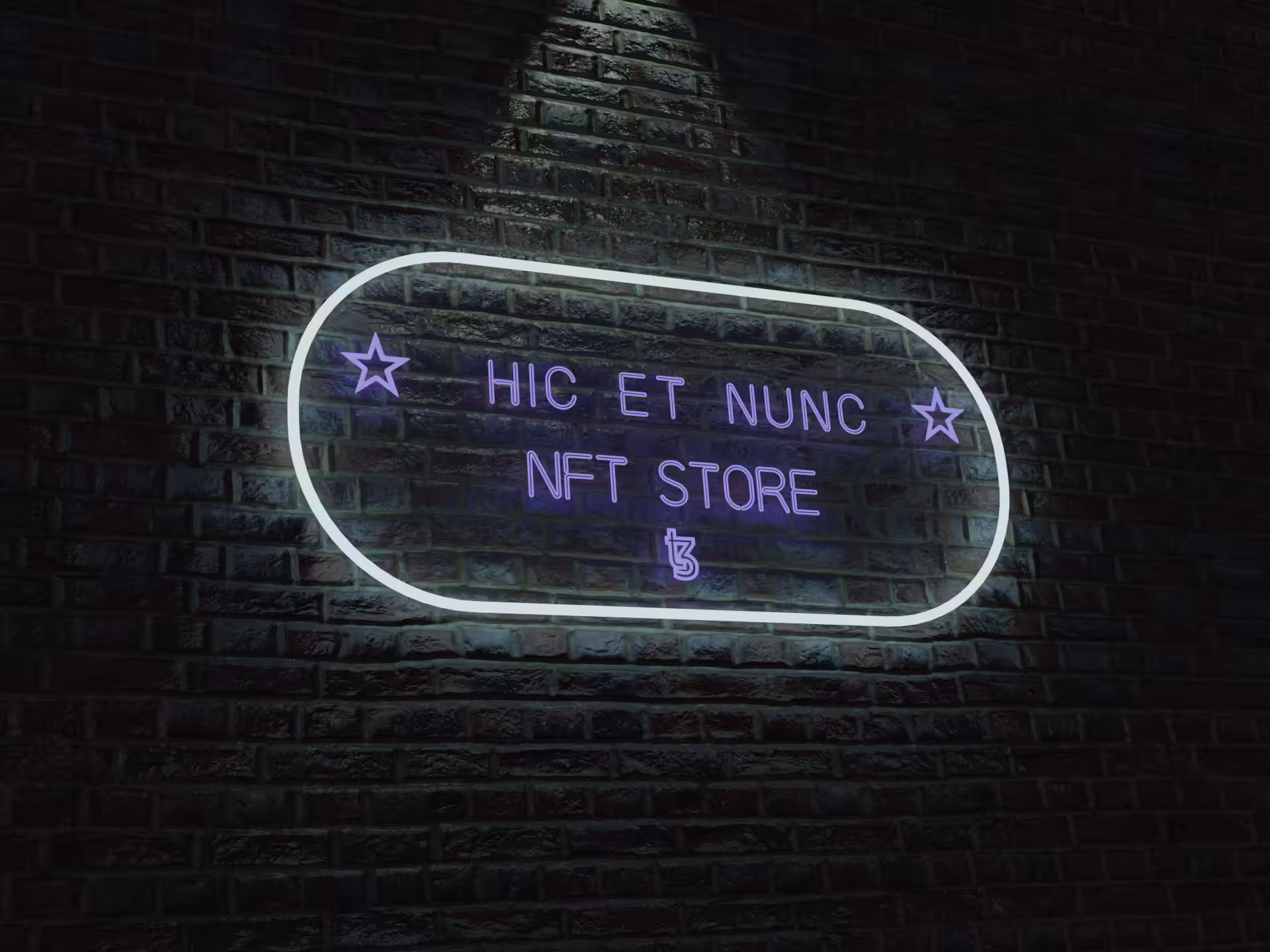 Hic et nunc neon sign