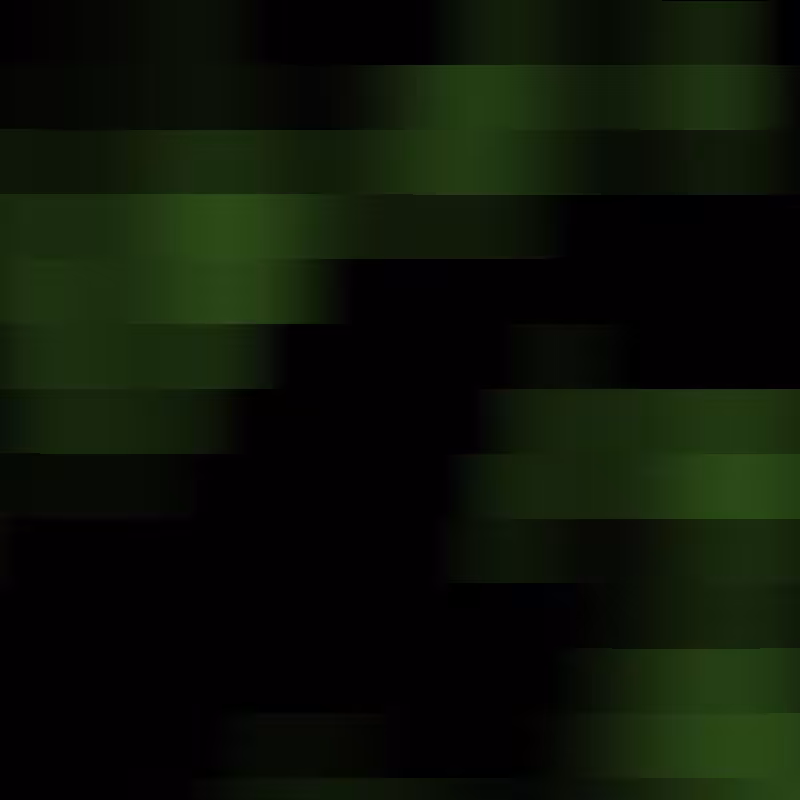 Borders of Tint #5