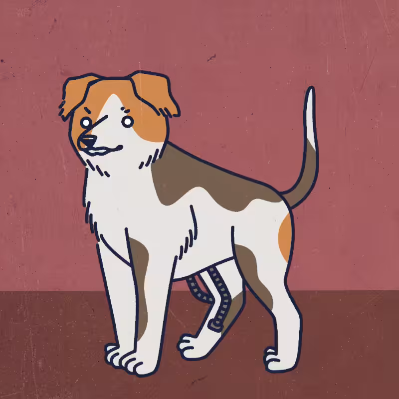 future_dogs #94