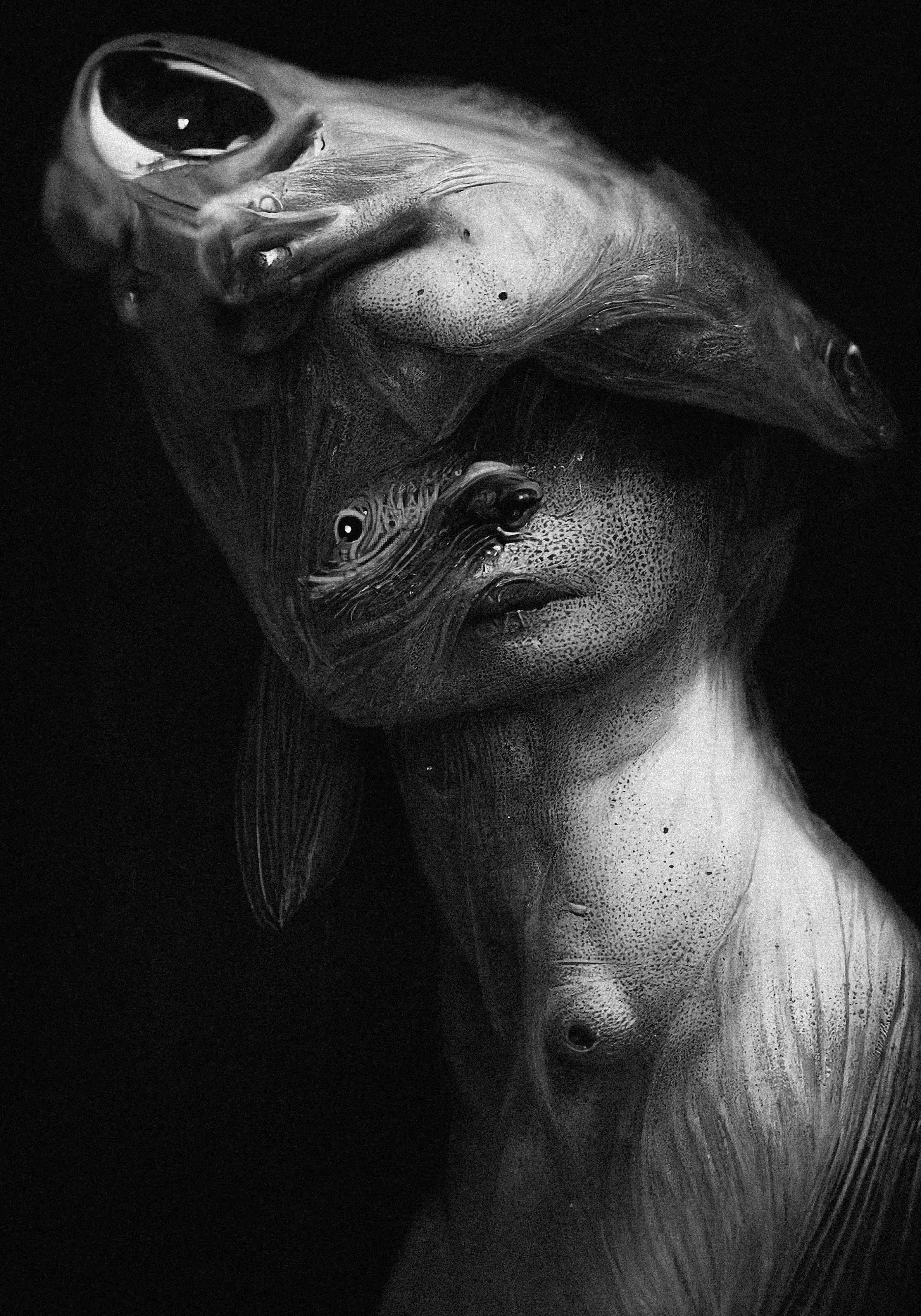 Aka II