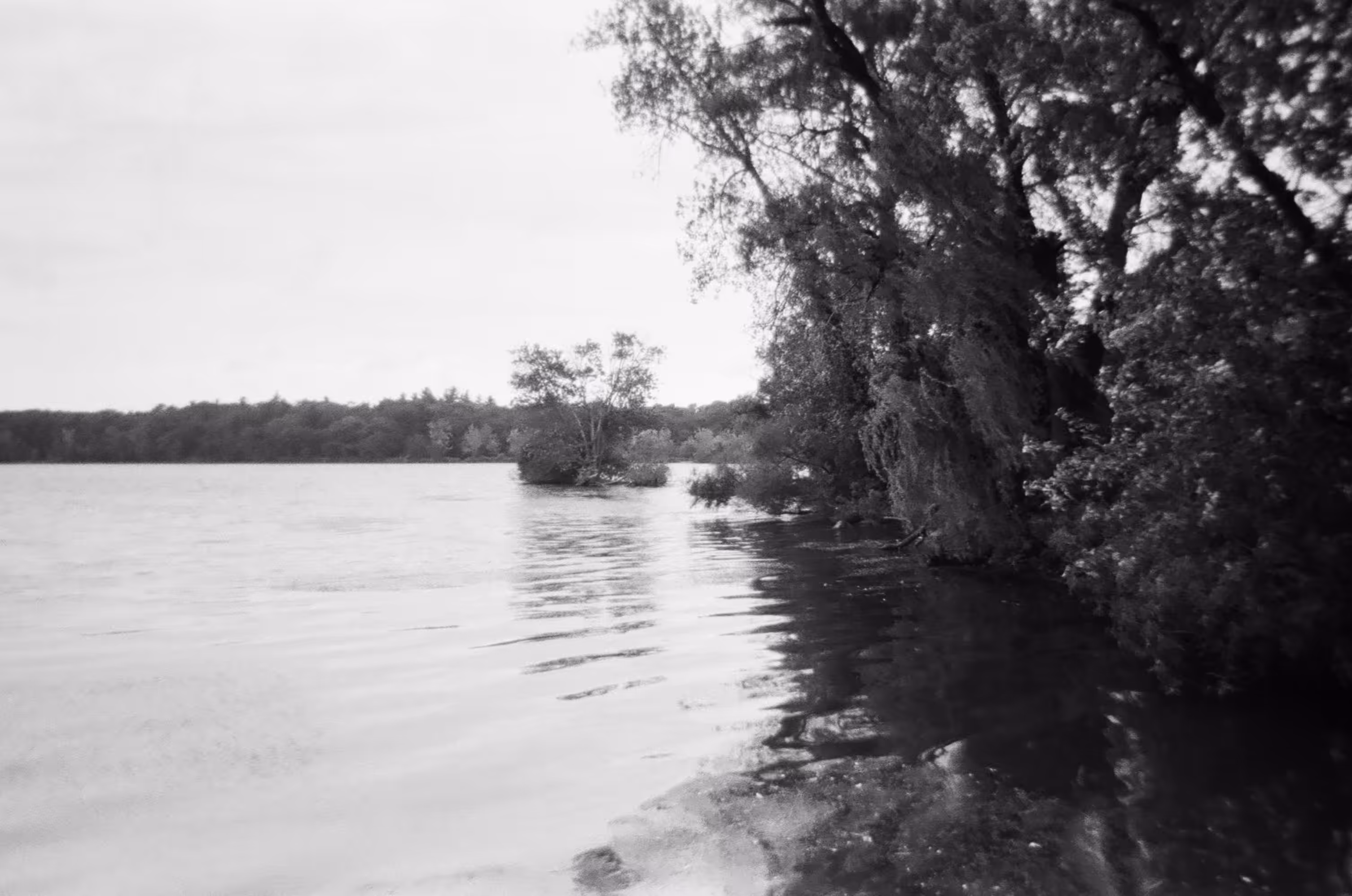 New England Island