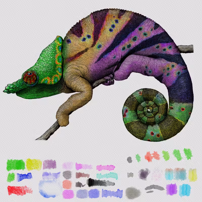 Colorful Cameleon #21