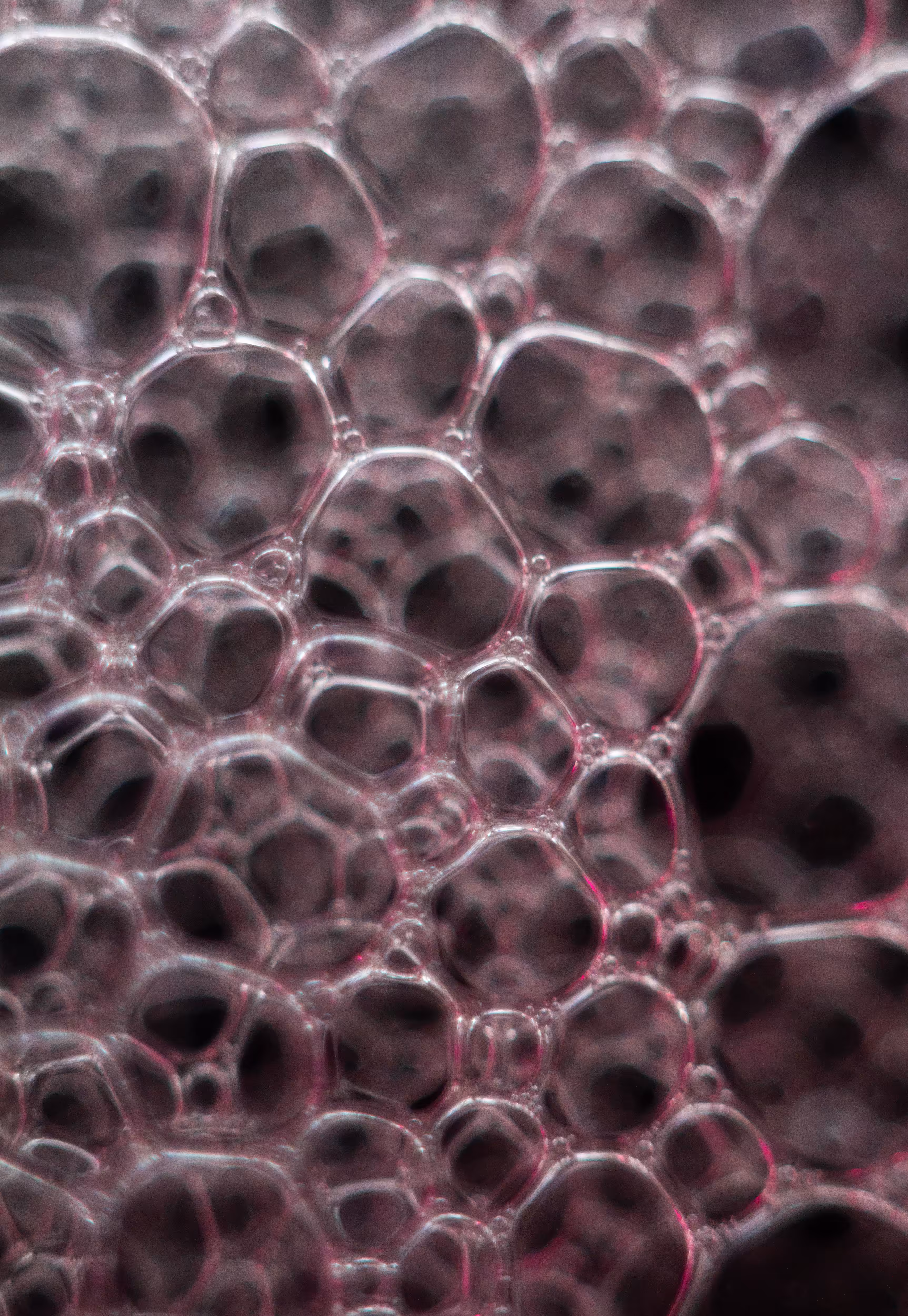 Abstract World of Soap Bubbles: #183 Bubbles