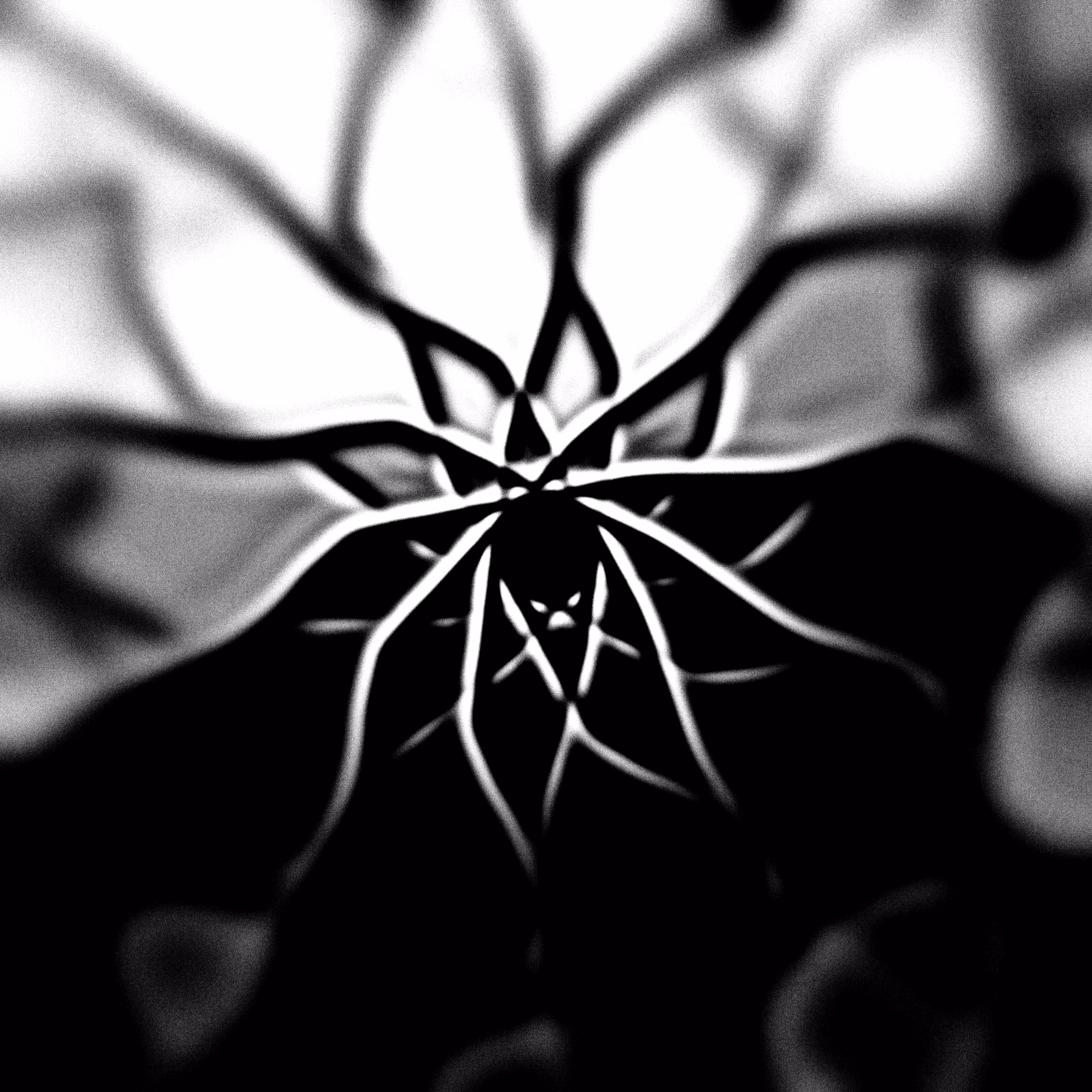 Disease