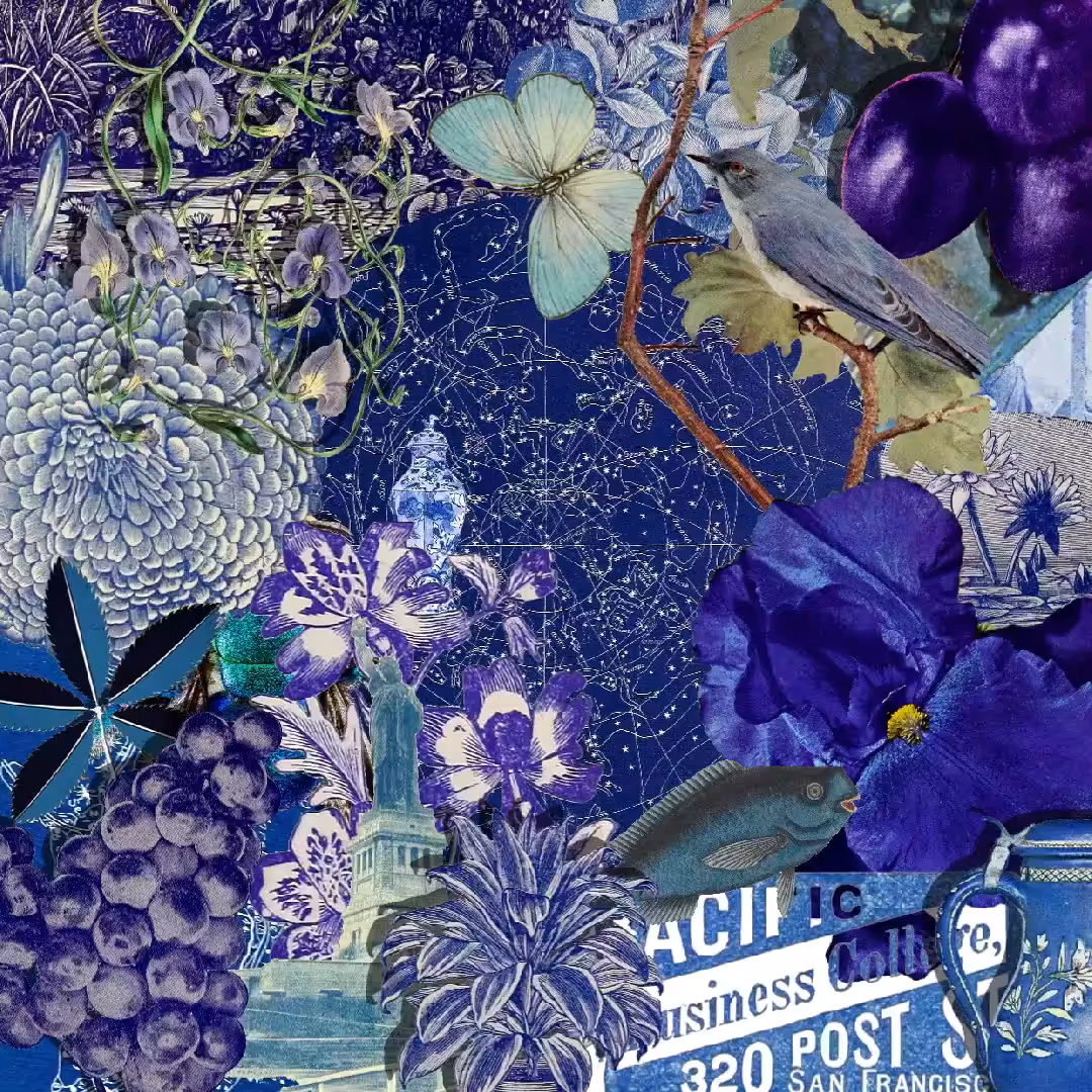 CYAN-BLUE ON COLLAGE
