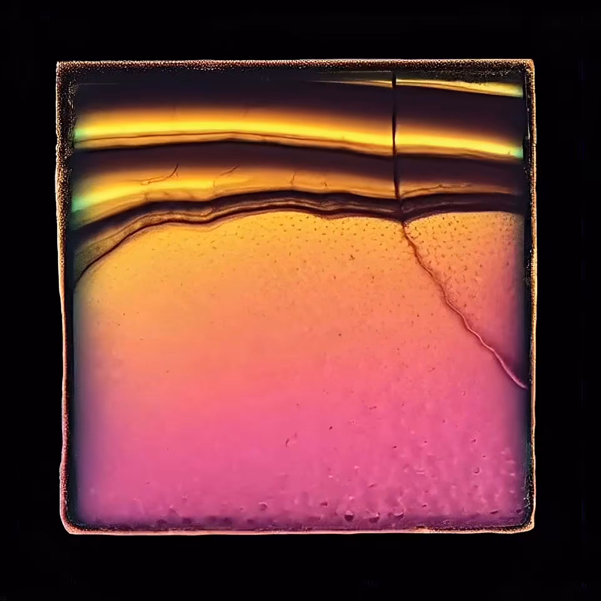 Dregs 05