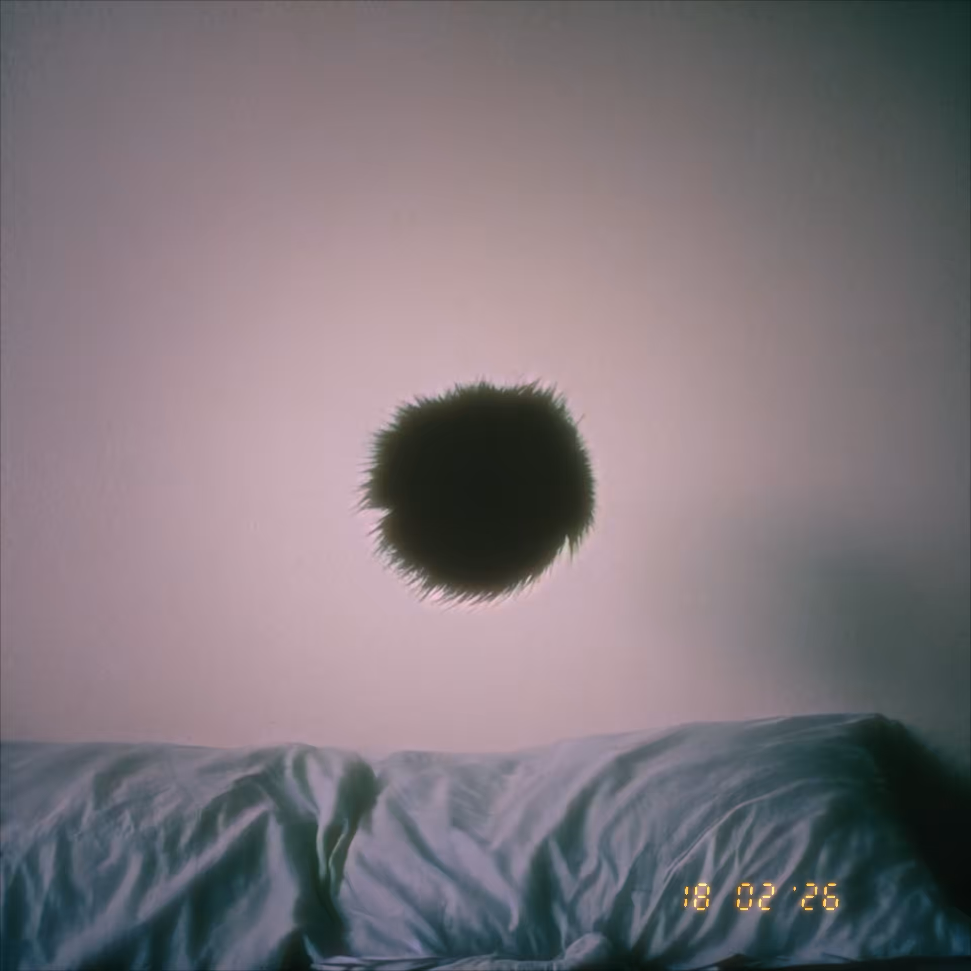 Slow mornings