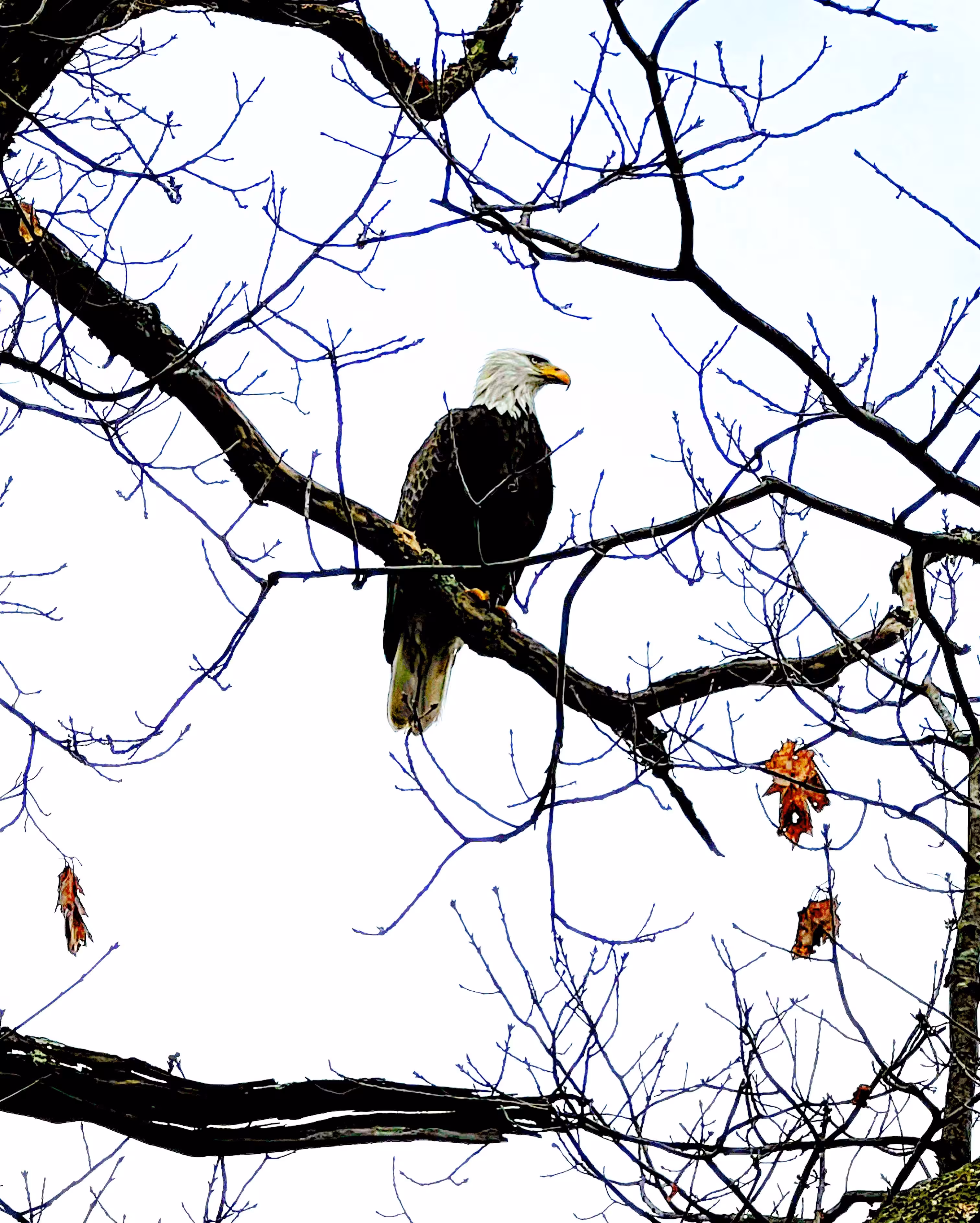 From Our Walk #4
