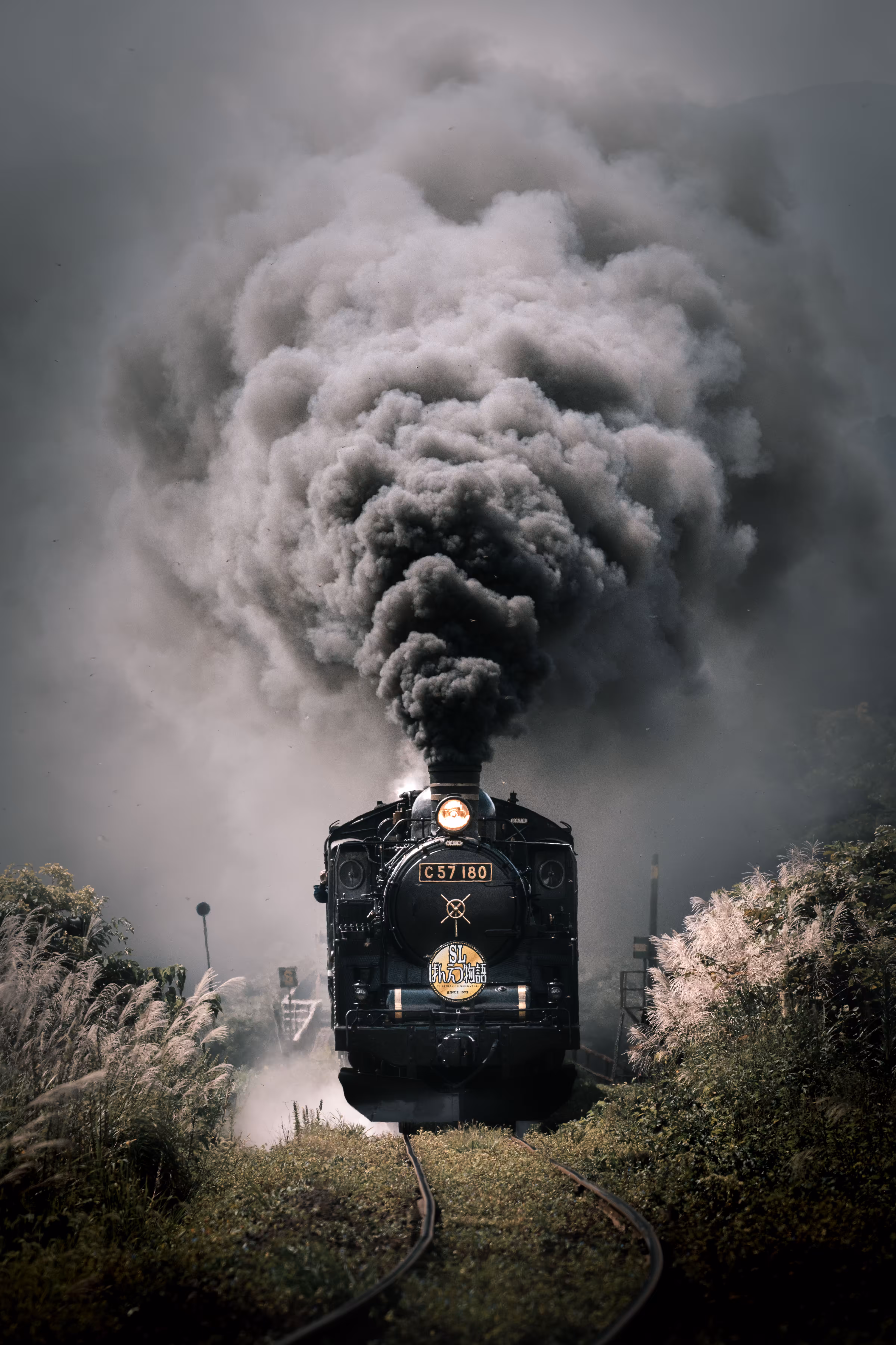 Infinity Train