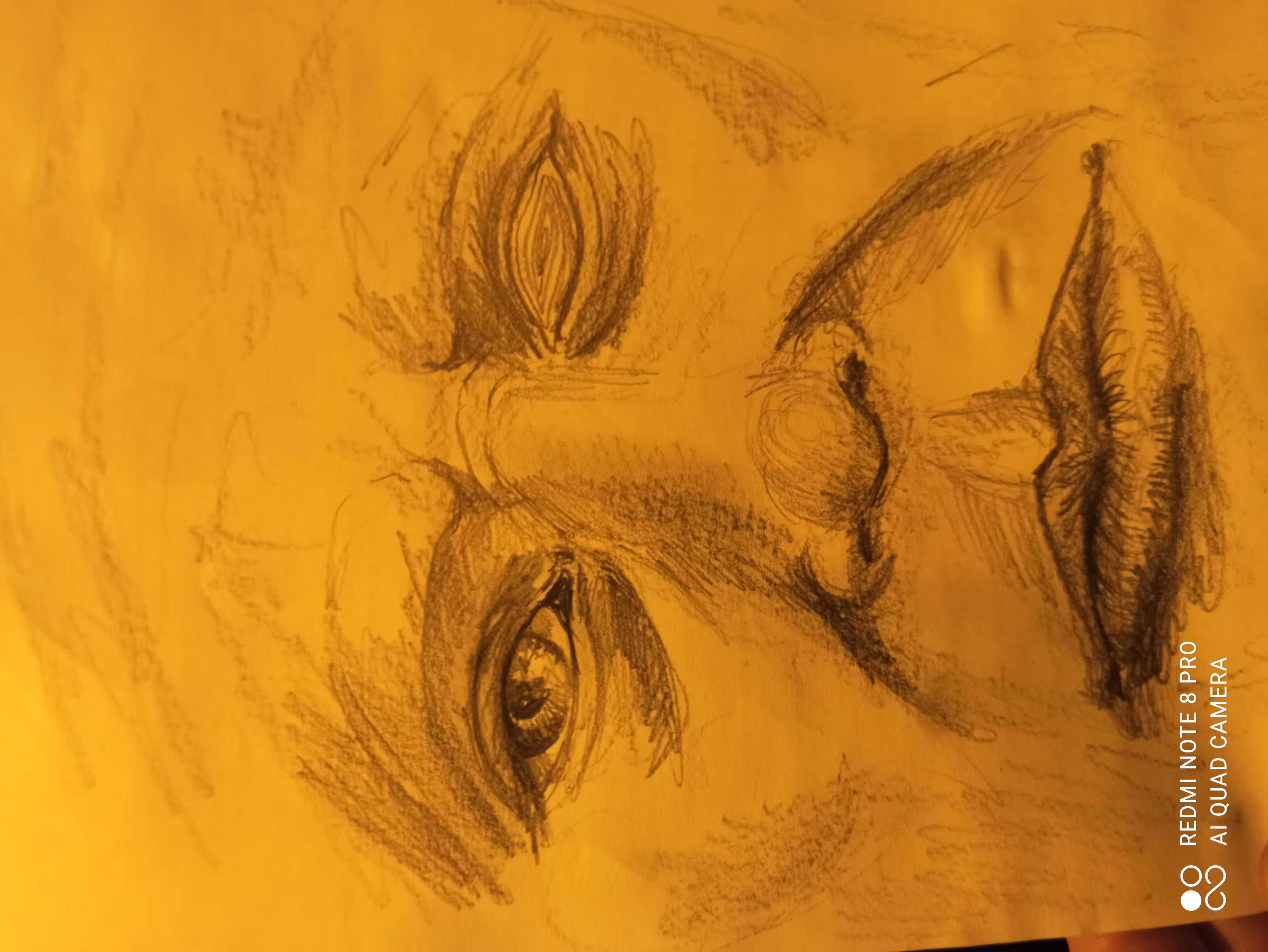 PUB Drawing