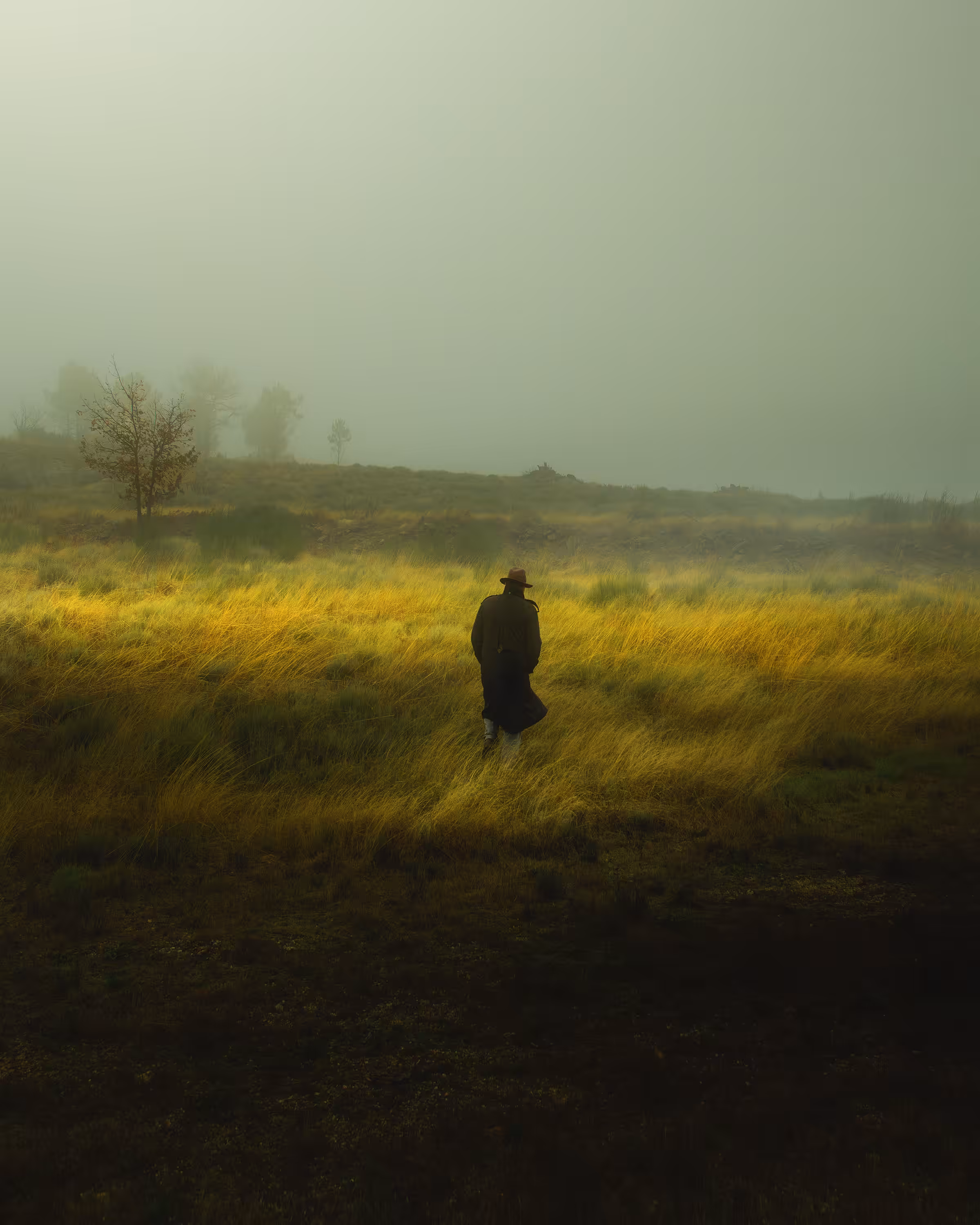 The Velvet Fields