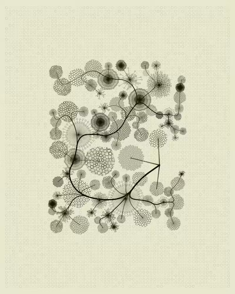 Florilegium #89
