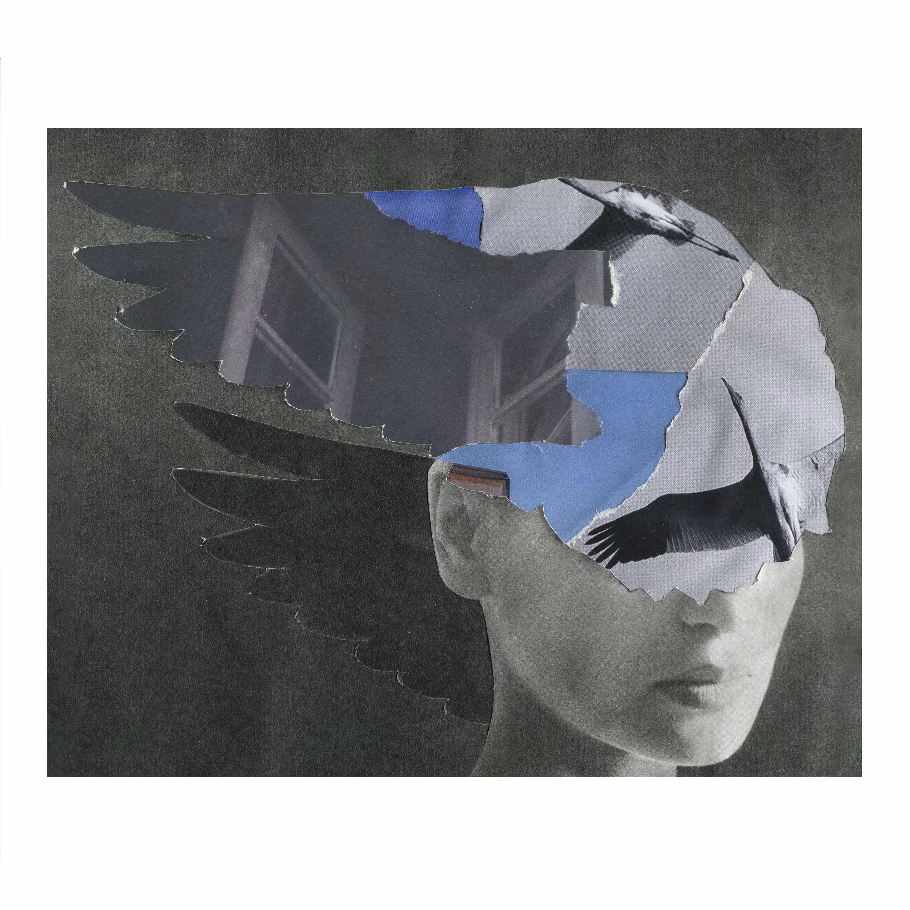 Wings