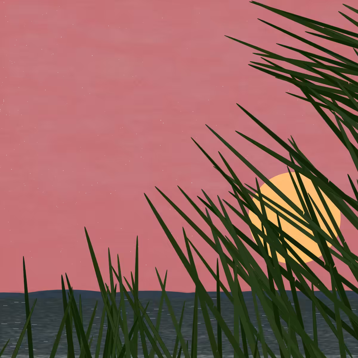 Ammophila dream #6