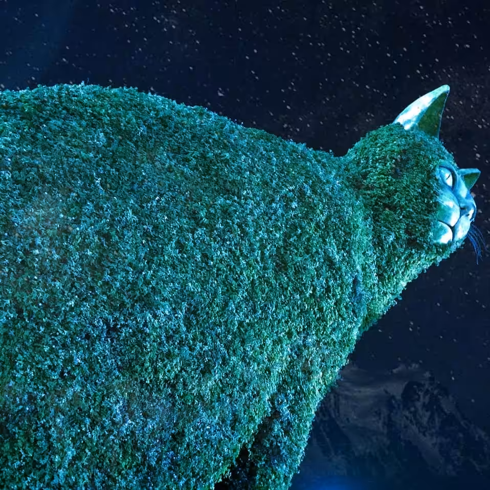 Charismatic friends: Giant cat under the unfathomable universe. 