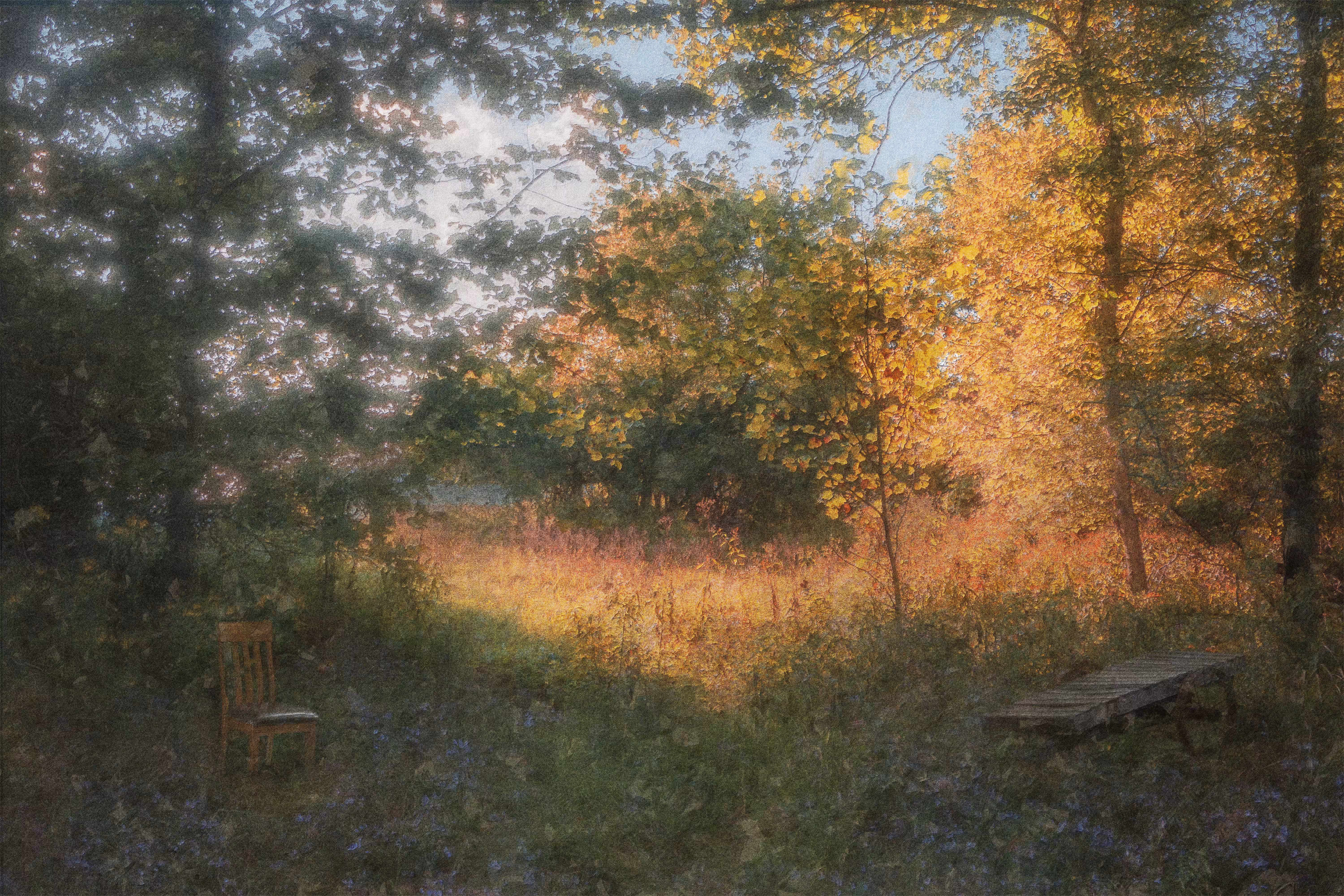 Summer's Passing