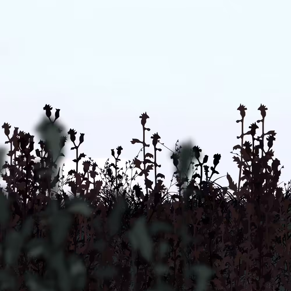 Walk in the field #43