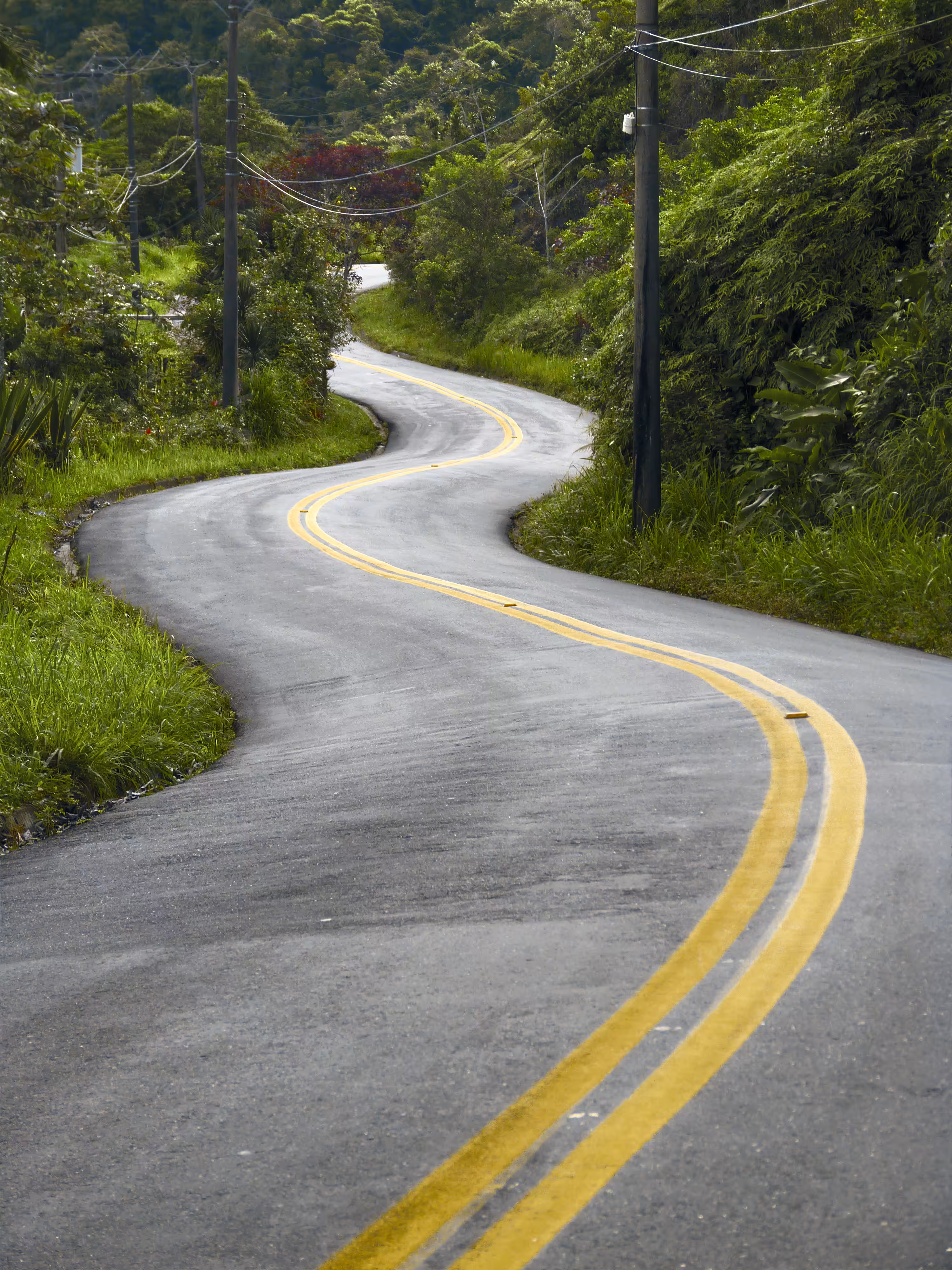 Another Long and Winding Road
