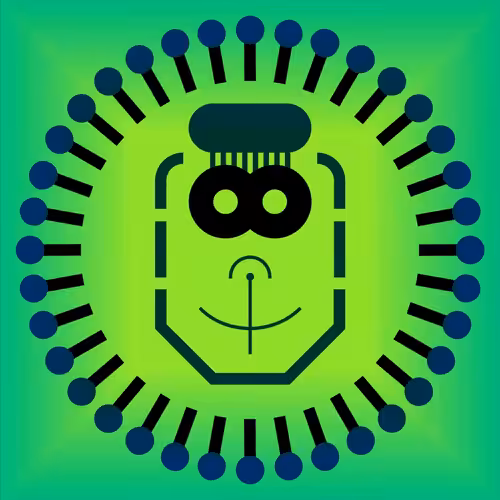 The Smile Zones: The Smile Zone #05