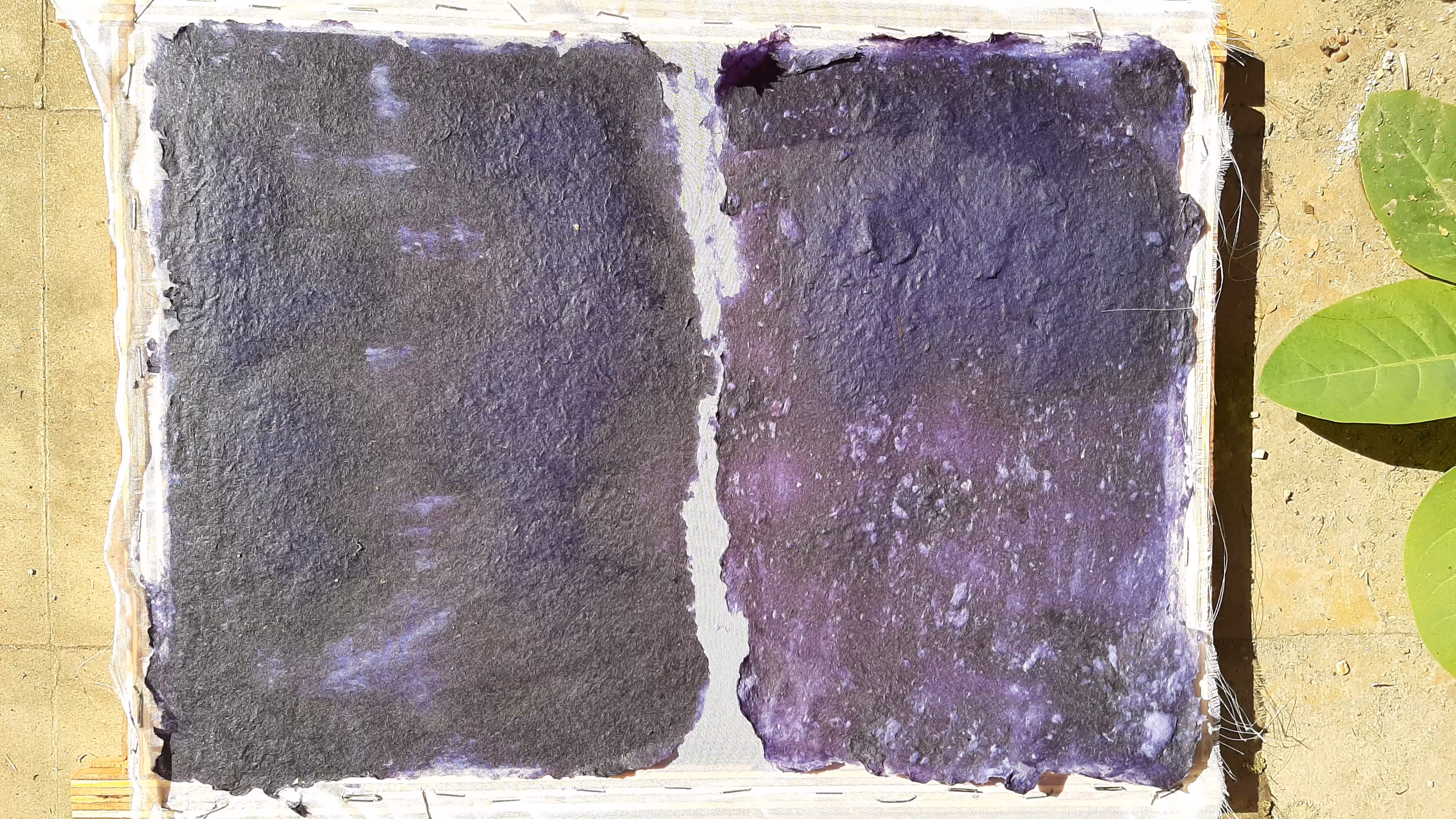 Biomaterial drying in the sun