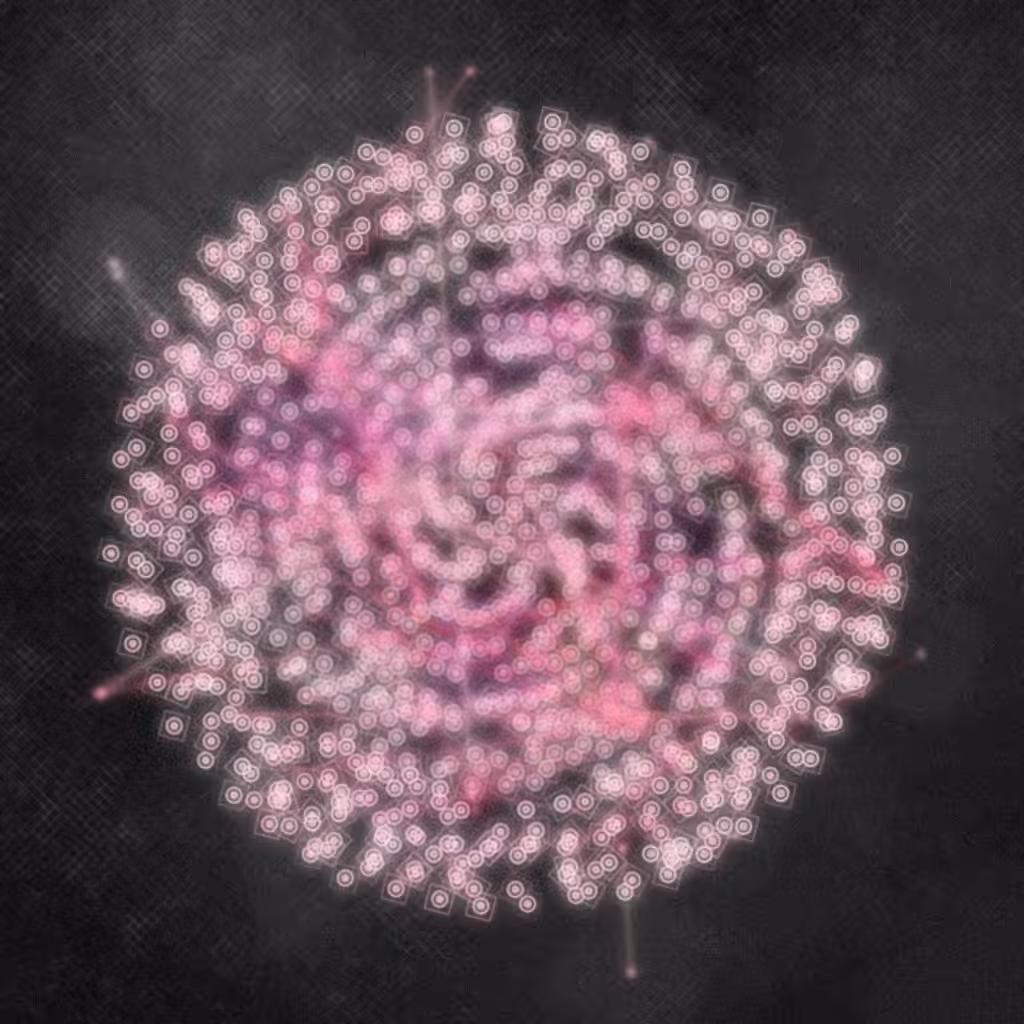 espiral #10