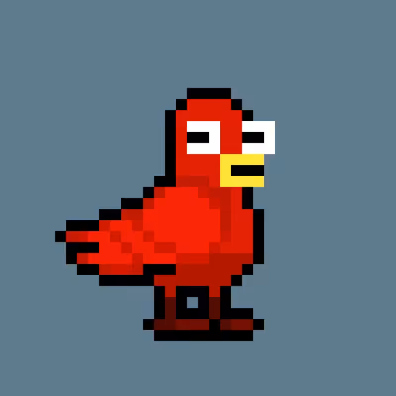 BERDS #3