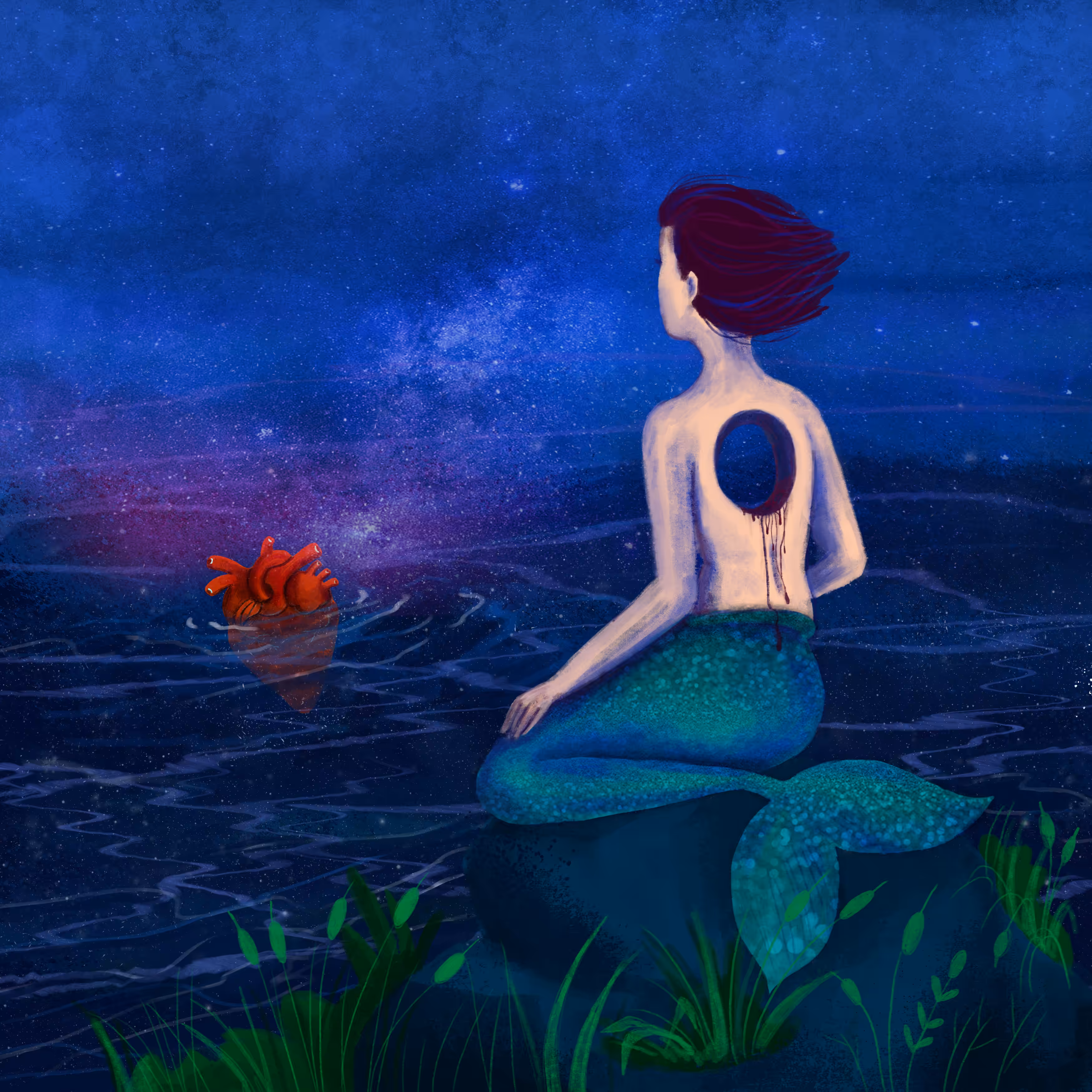 The Heartless Mermaid 